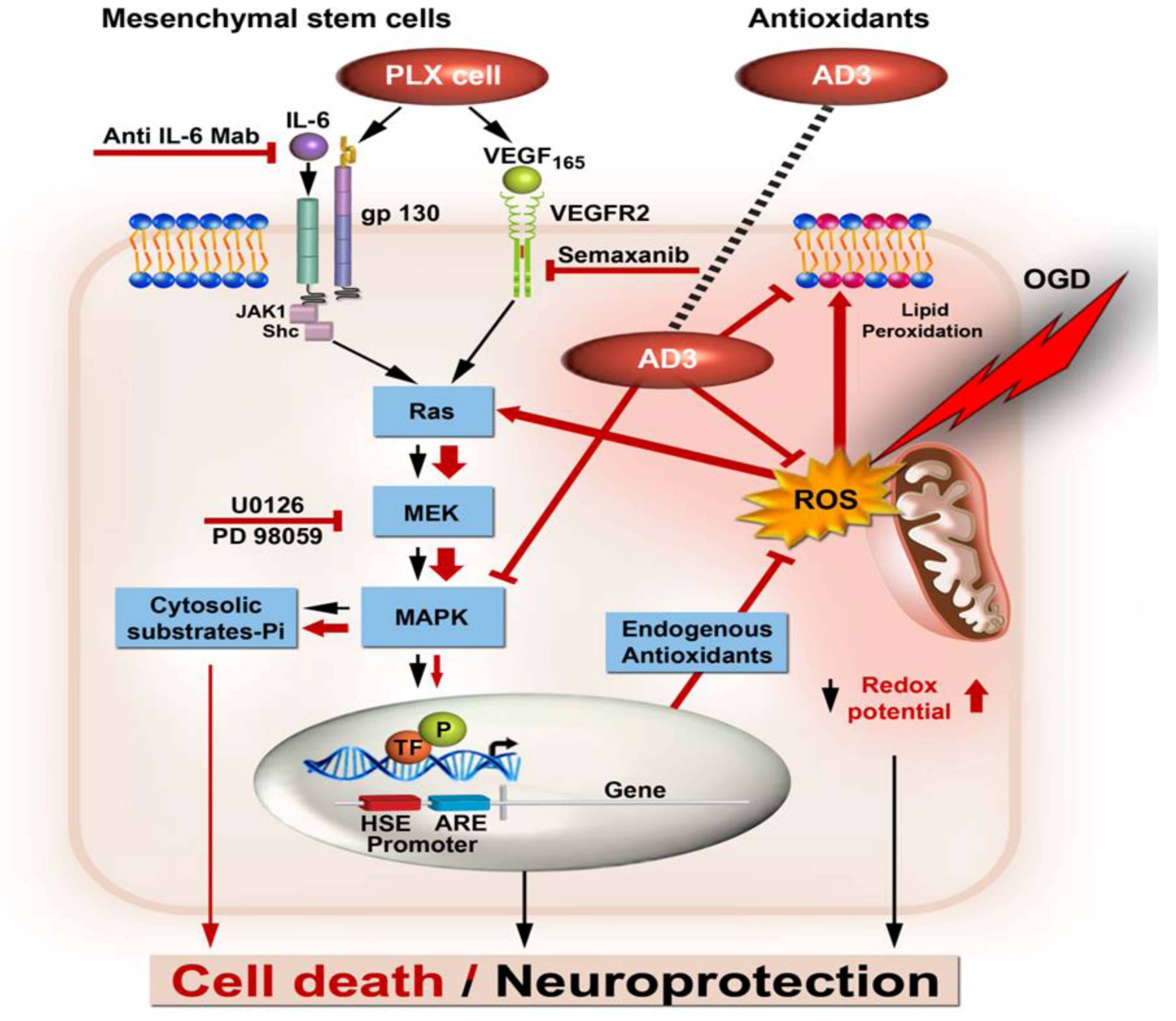 Brainsci 08 00032 g001