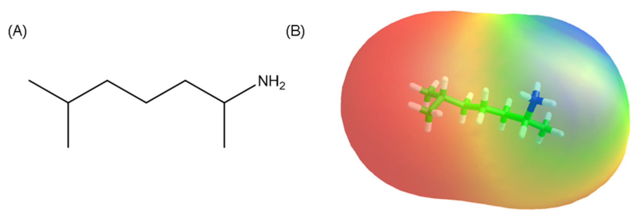 Brainsci 08 00034 g001