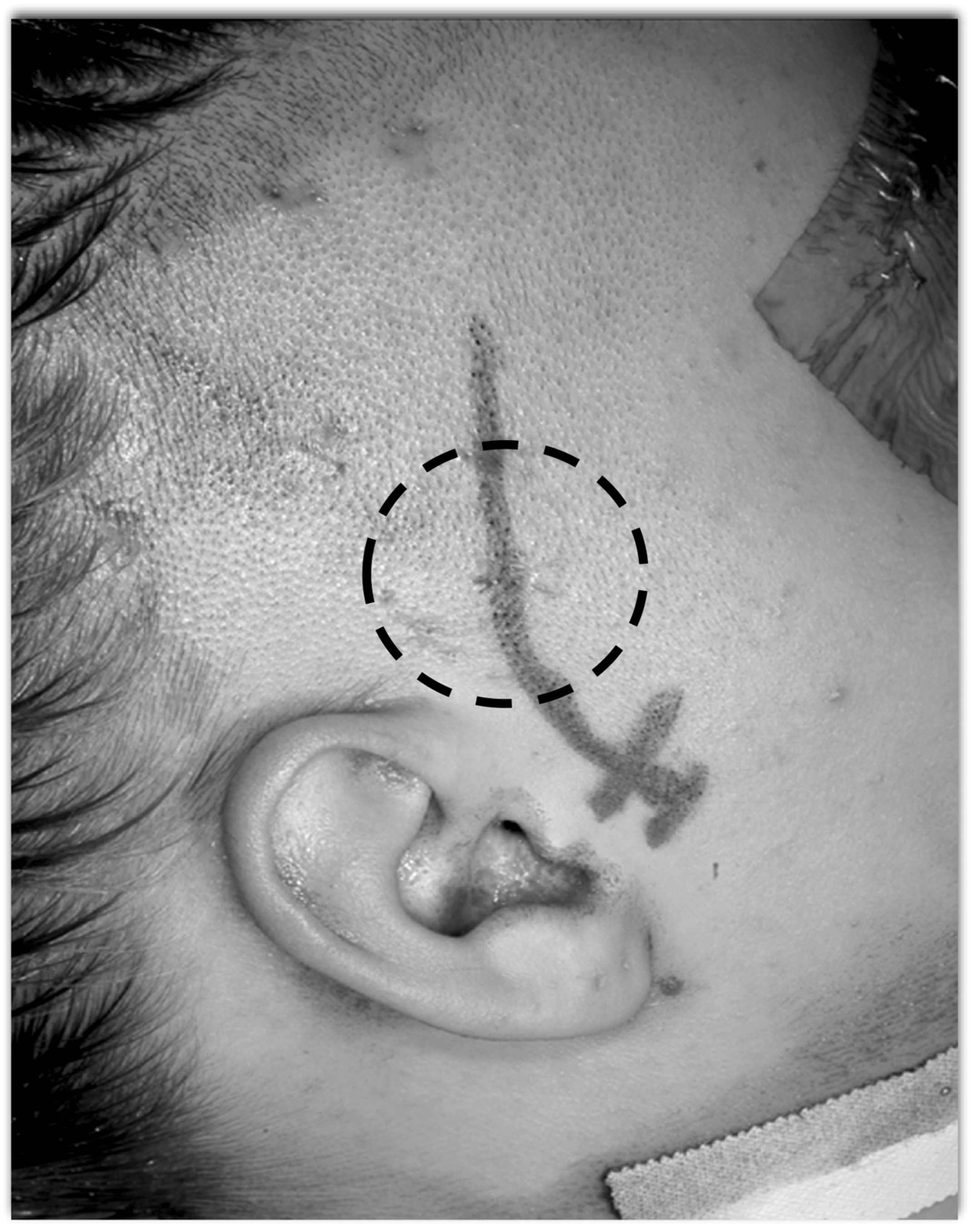 Brainsci 08 00035 g010 Brainsci 08 00035 g010
