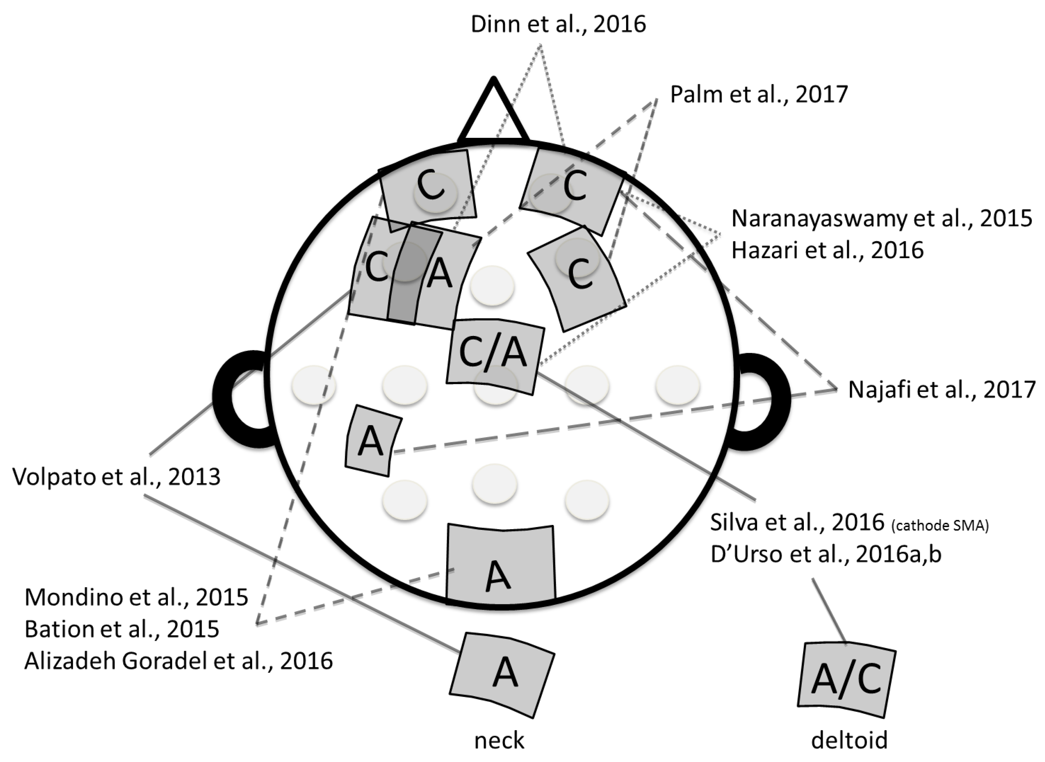 Brainsci 08 00037 g002
