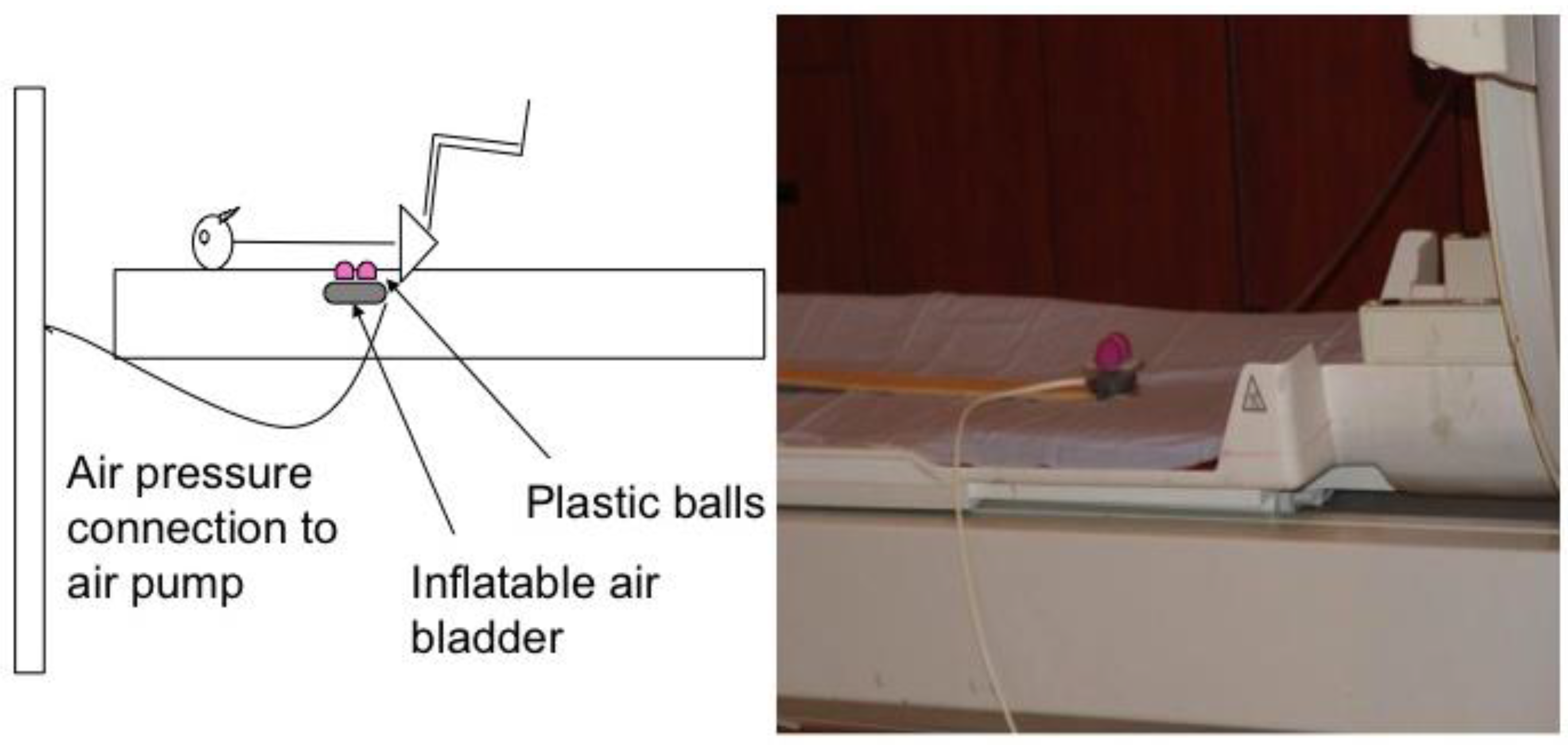 Brainsci 08 00041 g001