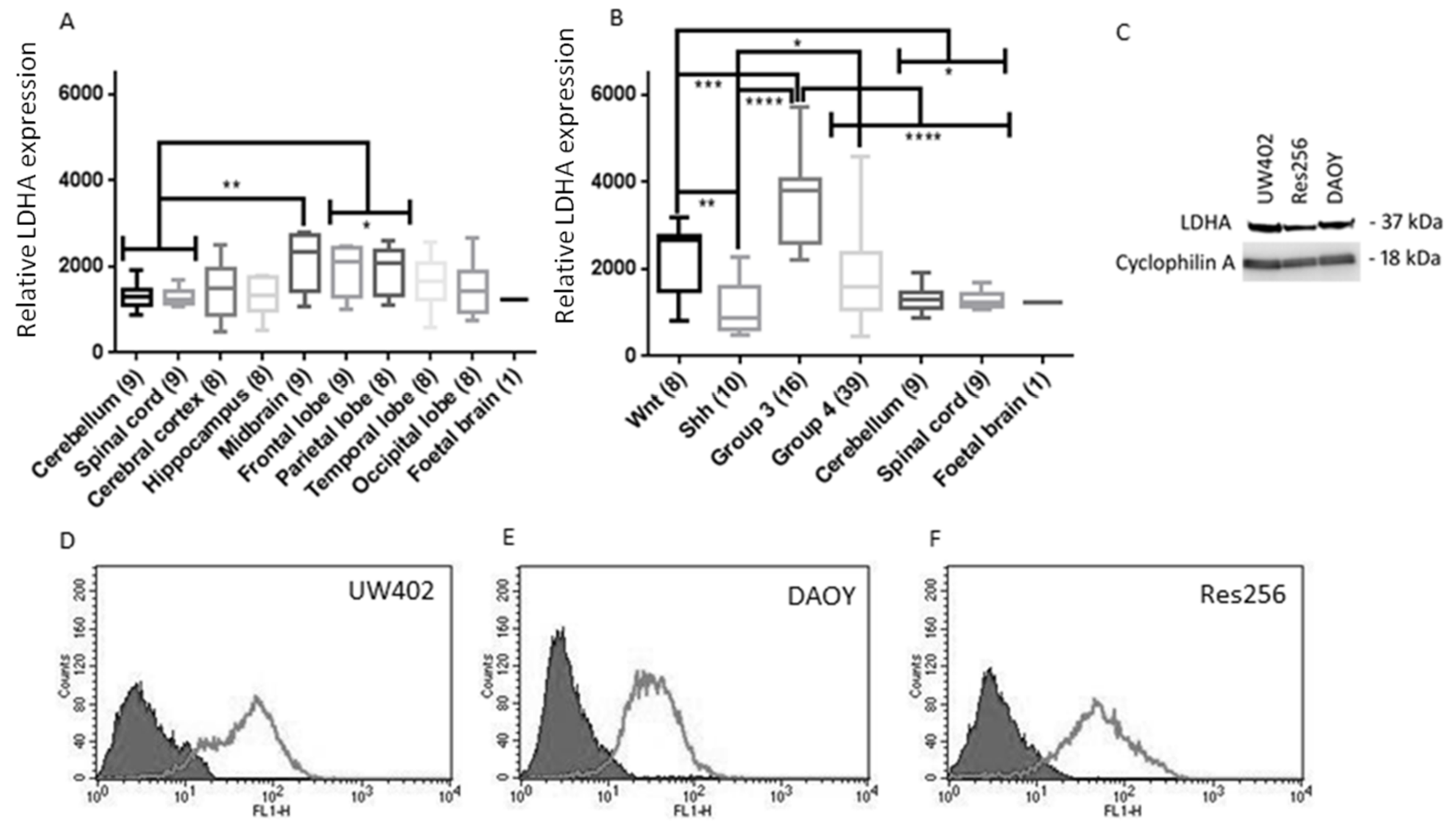 Brainsci 08 00056 g001a