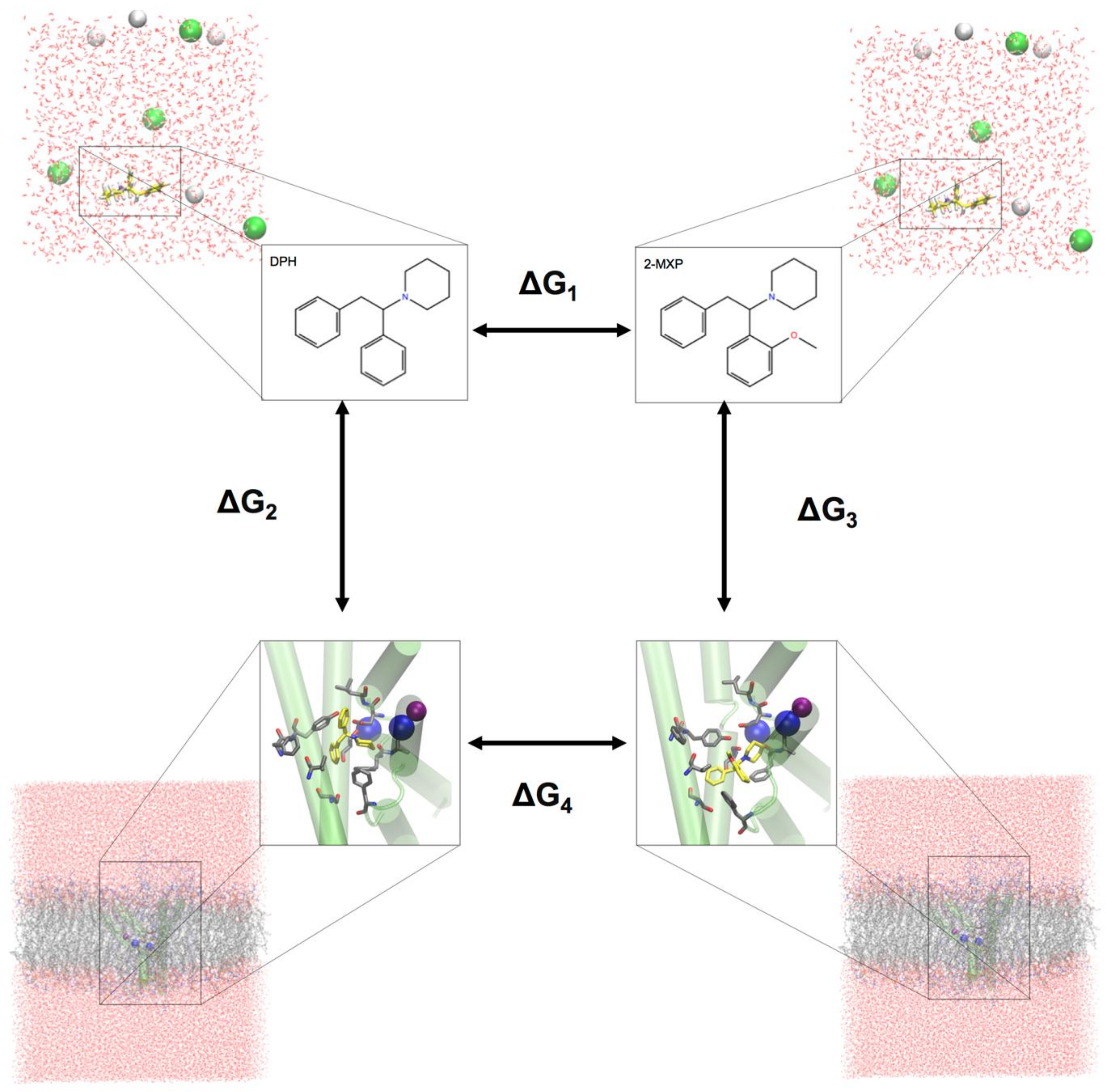 Brainsci 08 00063 g002