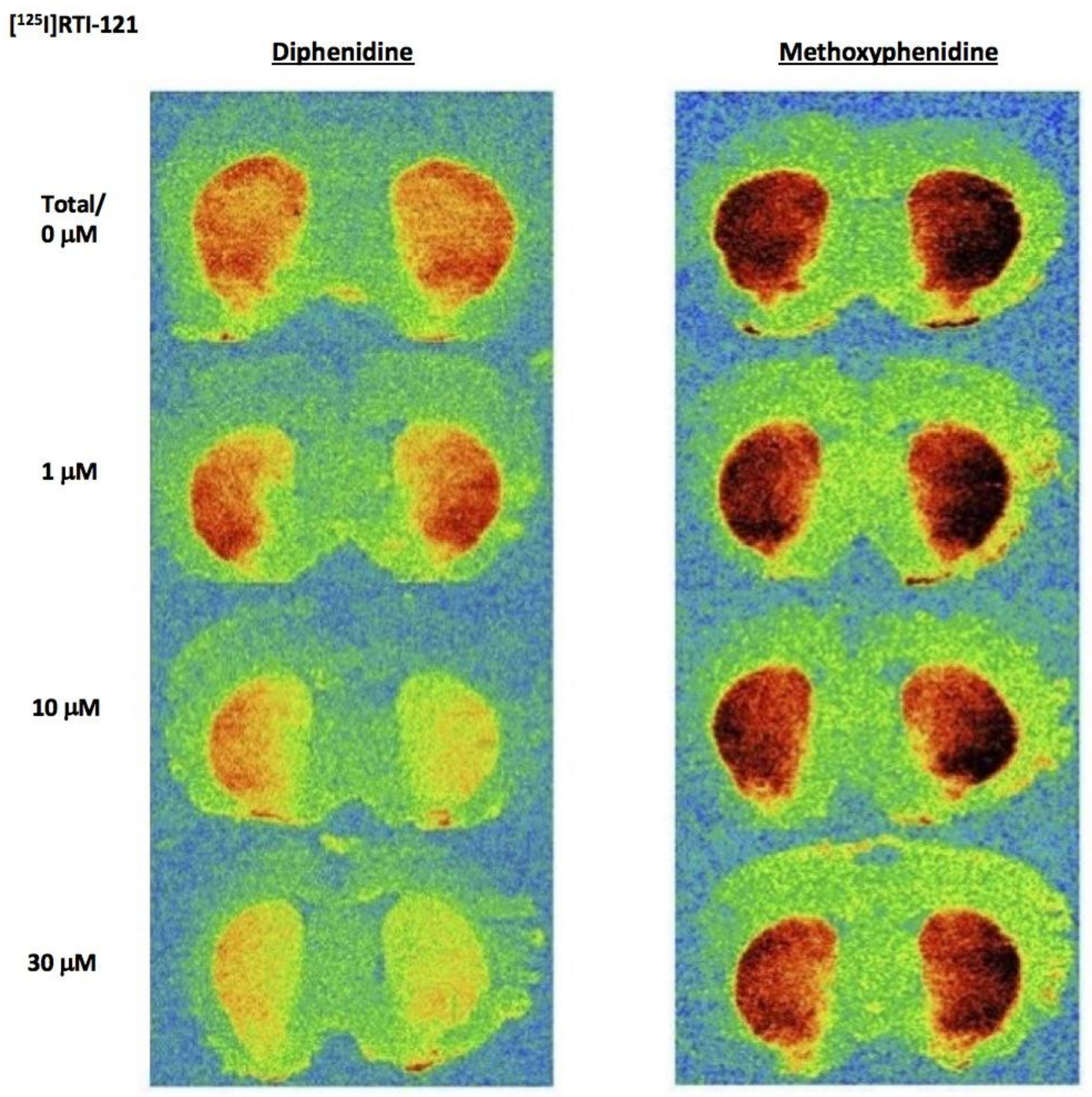 Brainsci 08 00063 g003