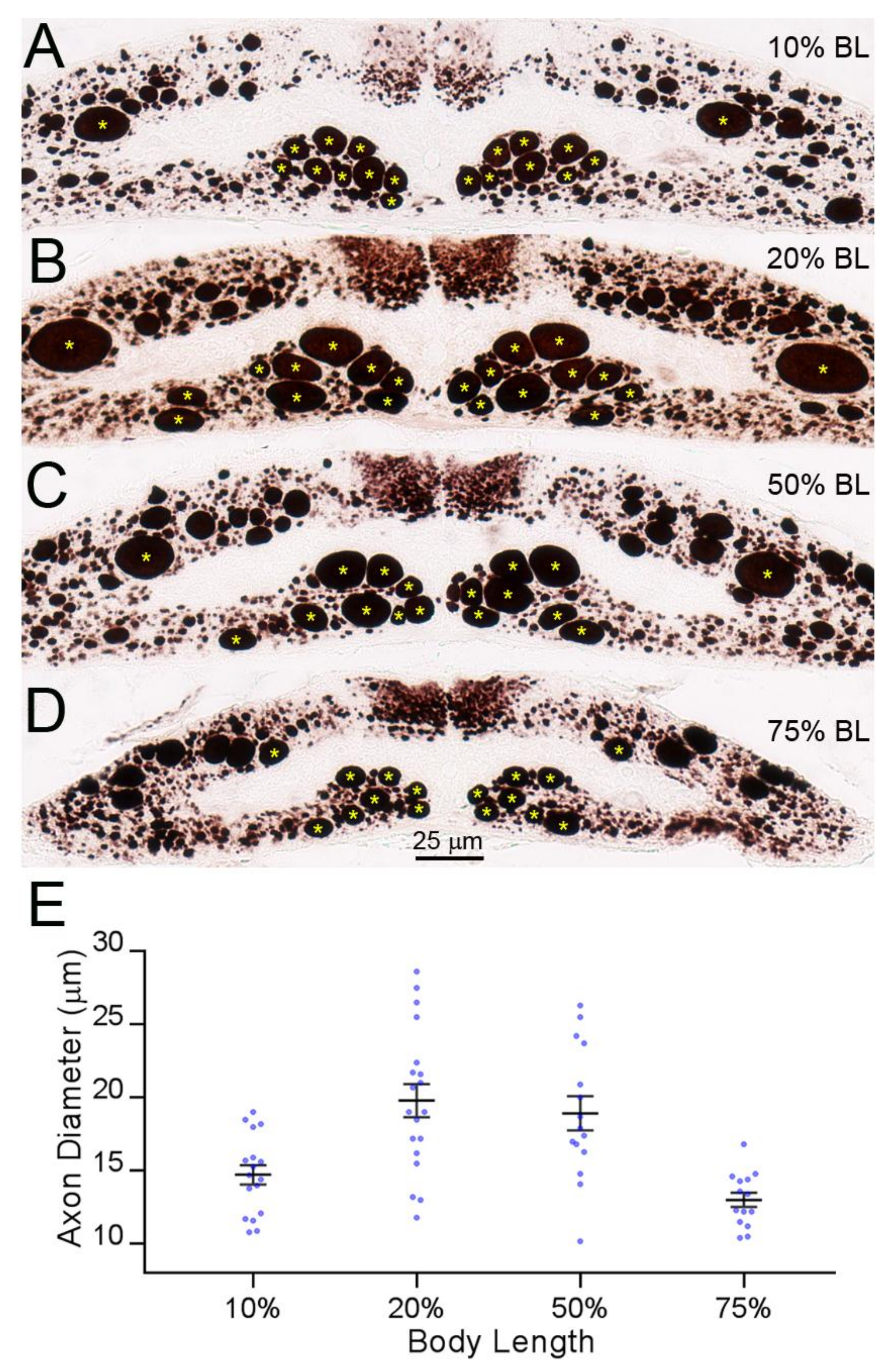 Brainsci 08 00065 g007