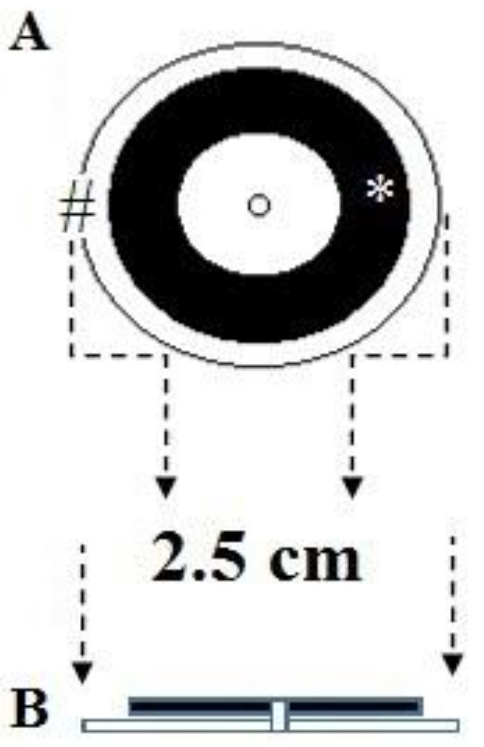 Brainsci 08 00090 g003