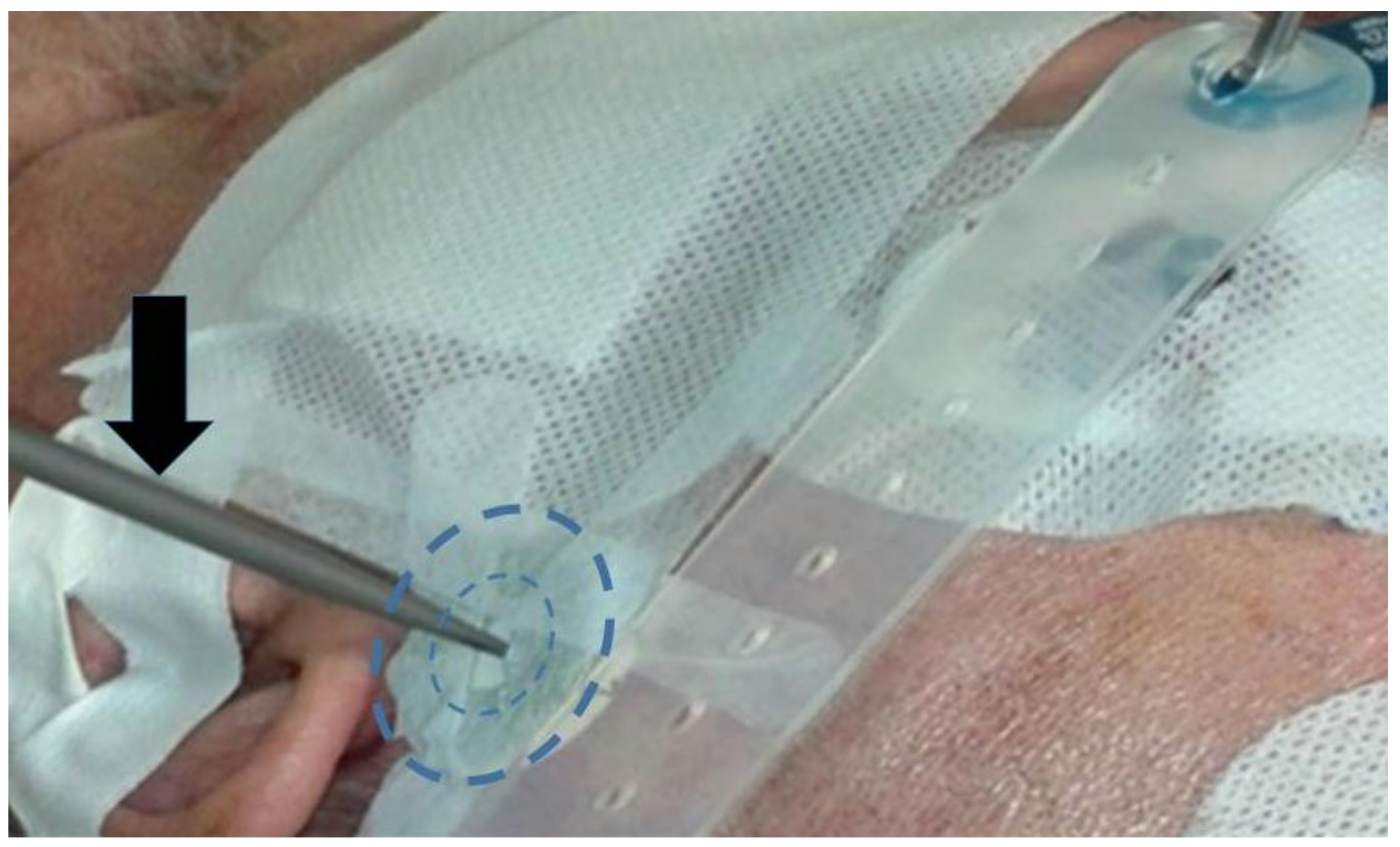 Brainsci 08 00090 g004