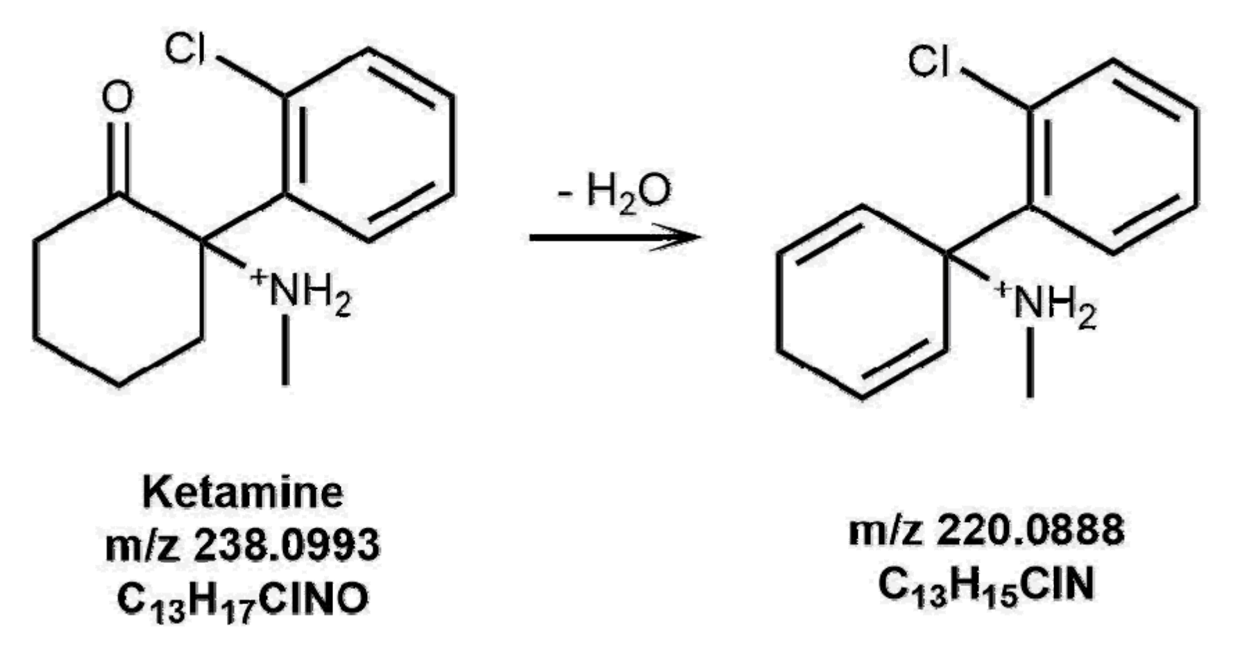 Brainsci 08 00096 g001