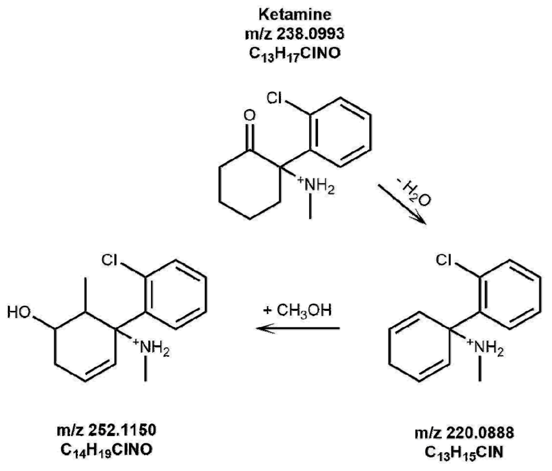 Brainsci 08 00096 g002