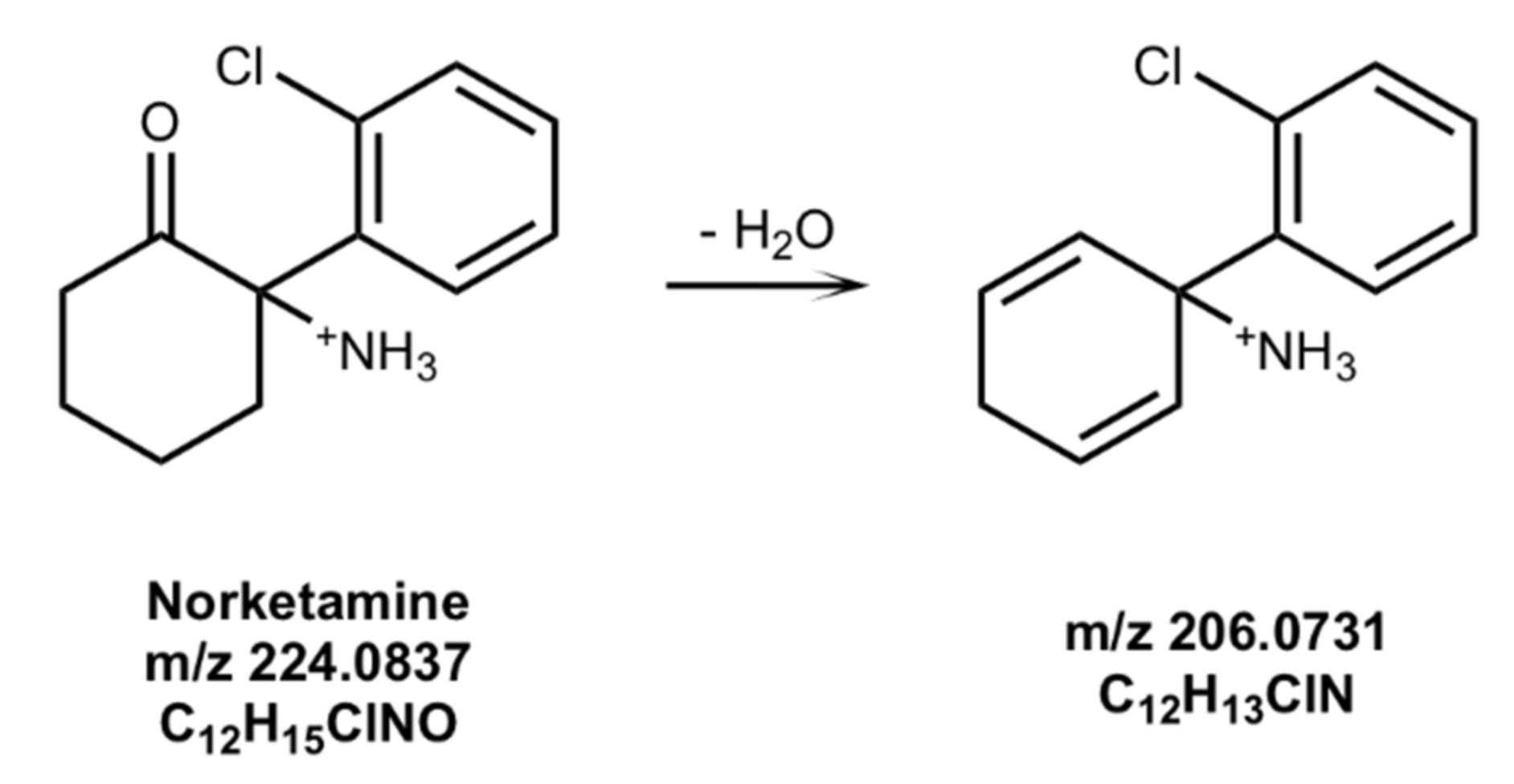 Brainsci 08 00096 g003