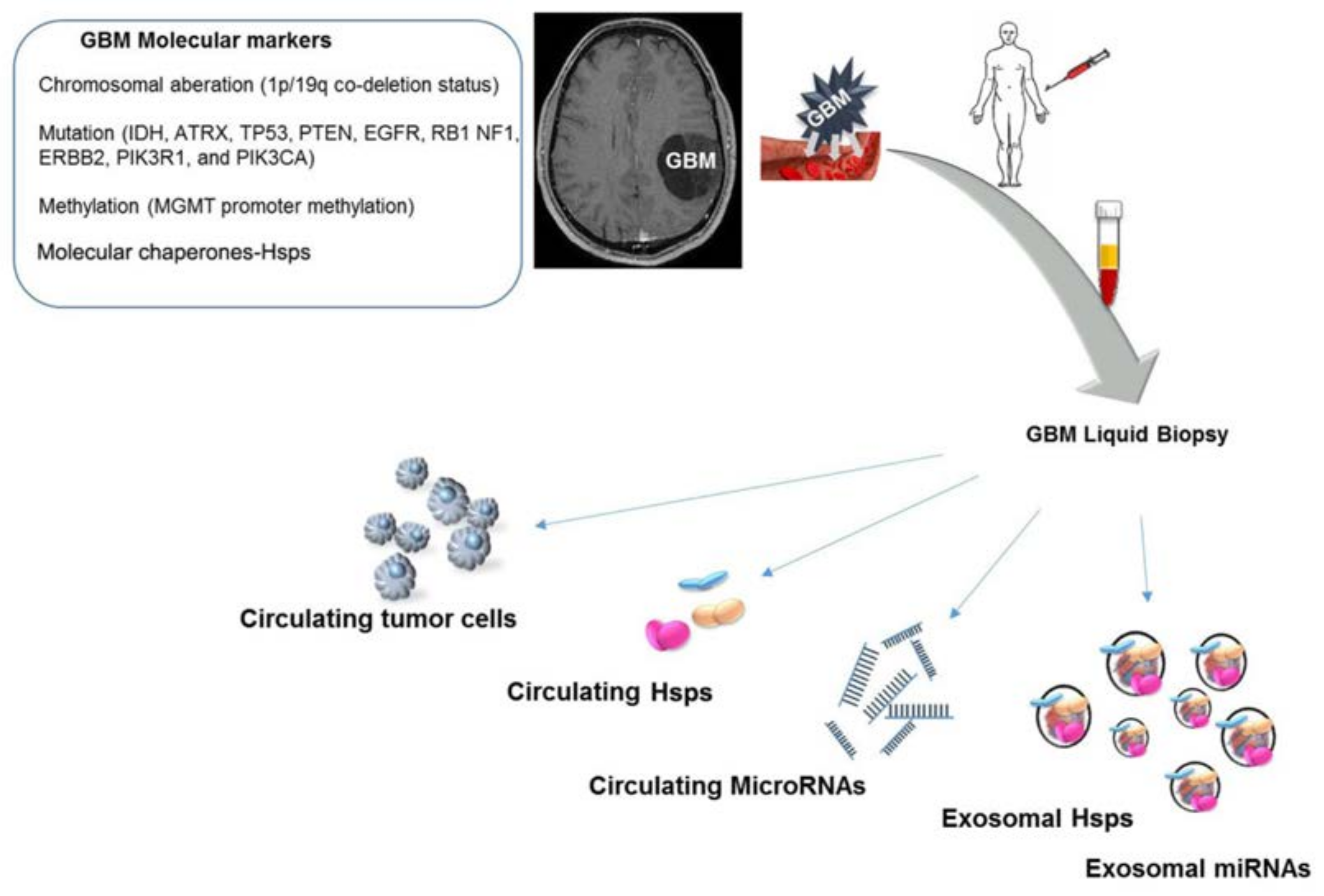 Brainsci 08 00110 g001 Brainsci 08 00110 g001