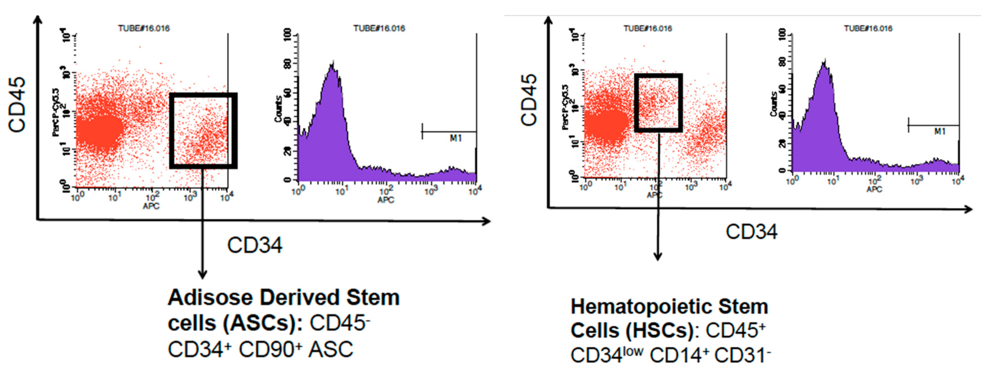 Brainsci 08 00112 g001