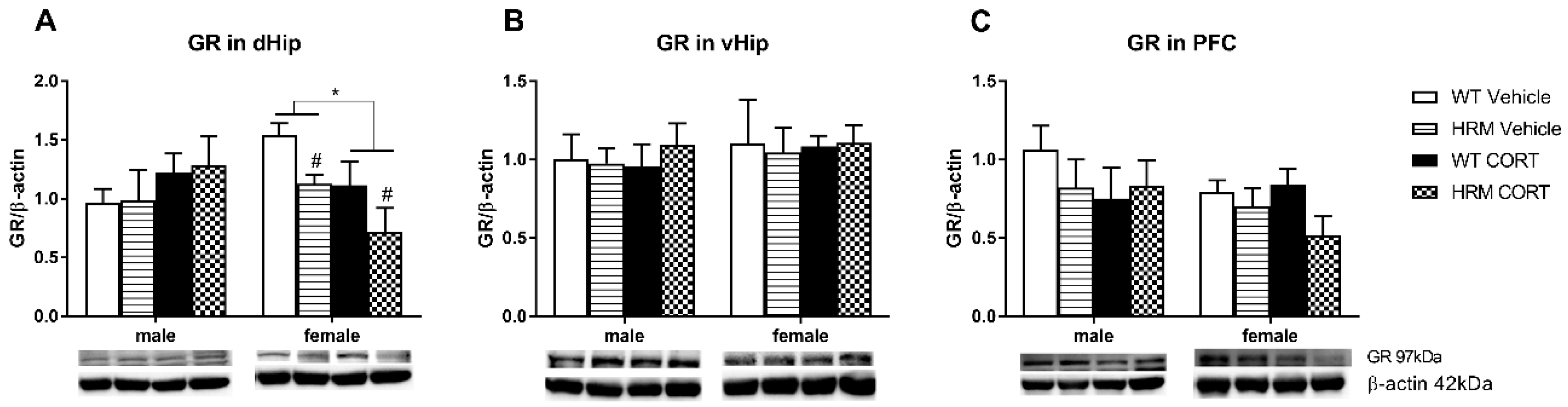 Brainsci 08 00118 g002 Brainsci 08 00118 g002