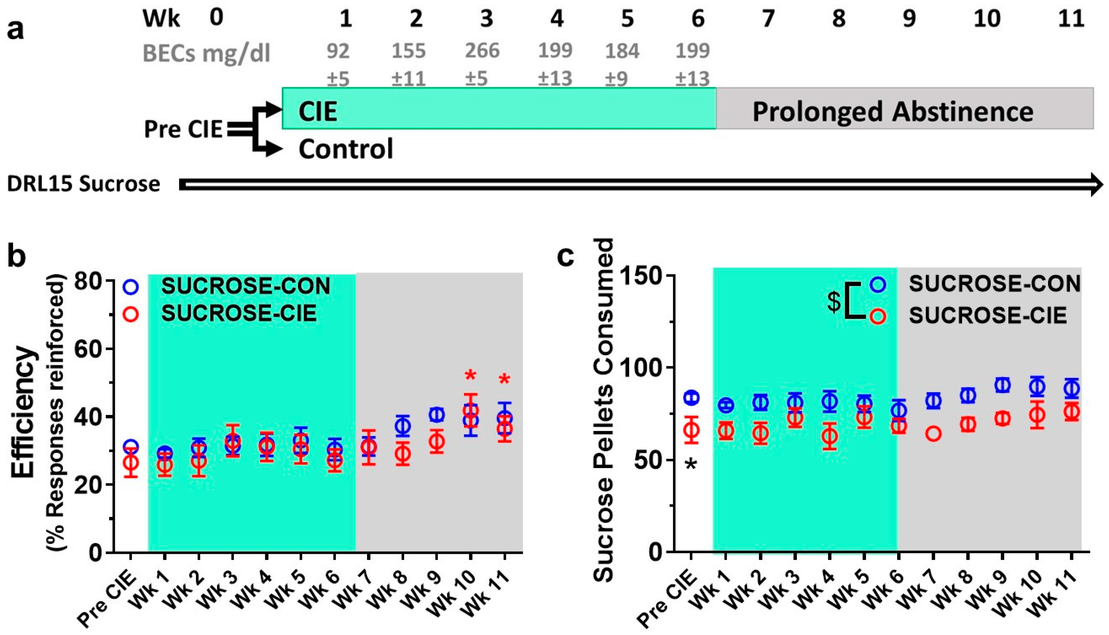 Brainsci 08 00119 g001