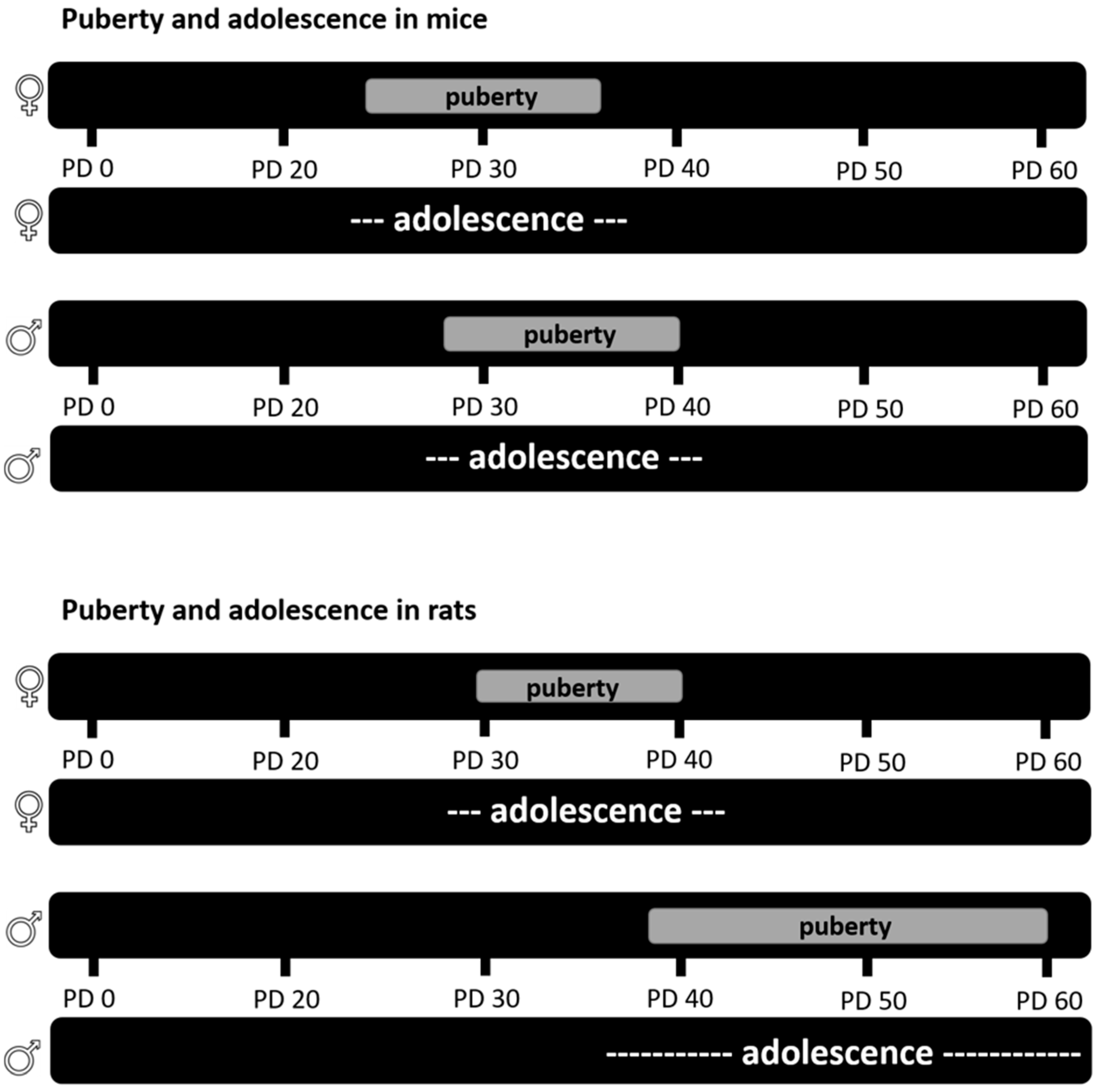 Brainsci 08 00121 g002