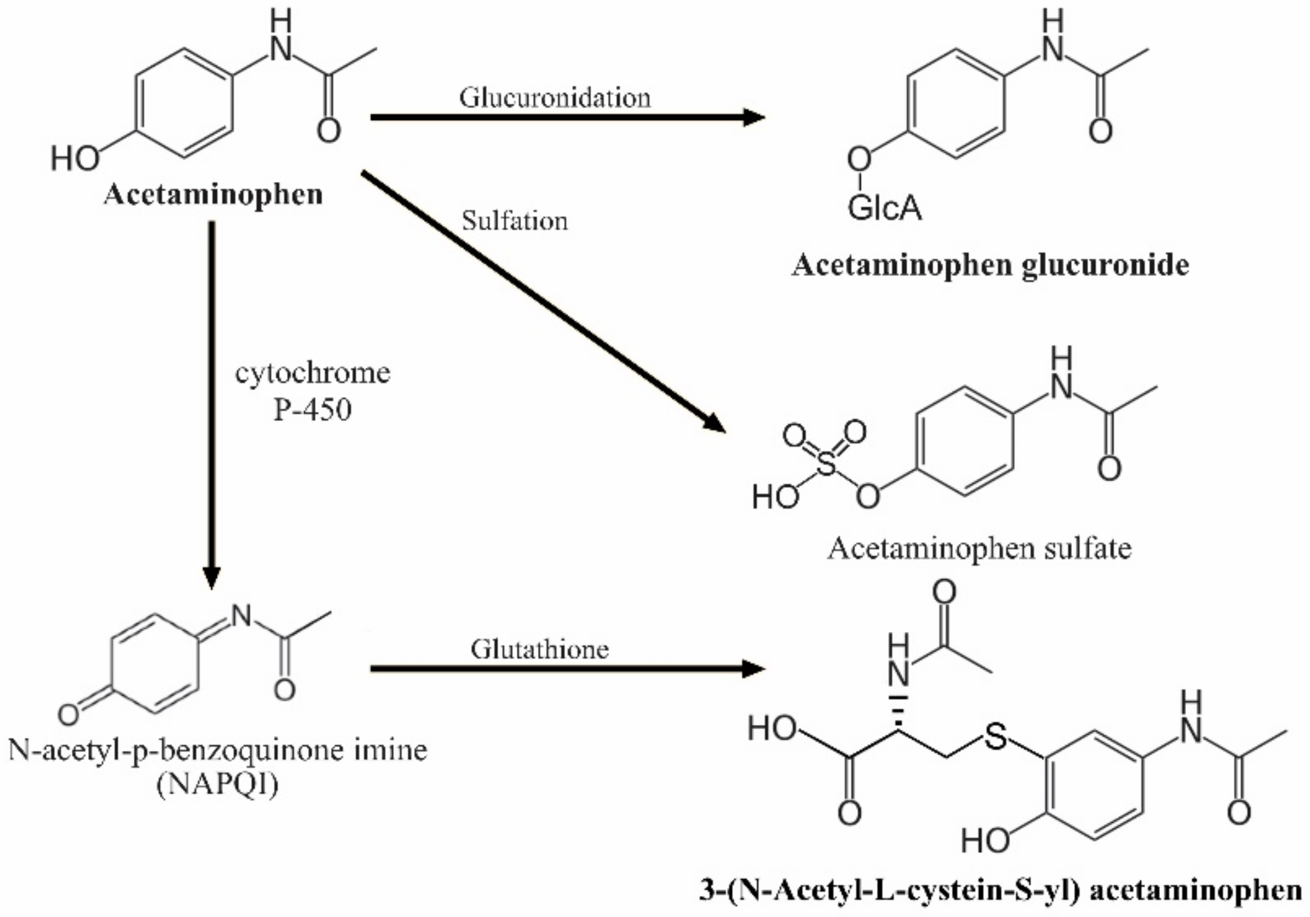 Brainsci 08 00127 g001 Brainsci 08 00127 g001