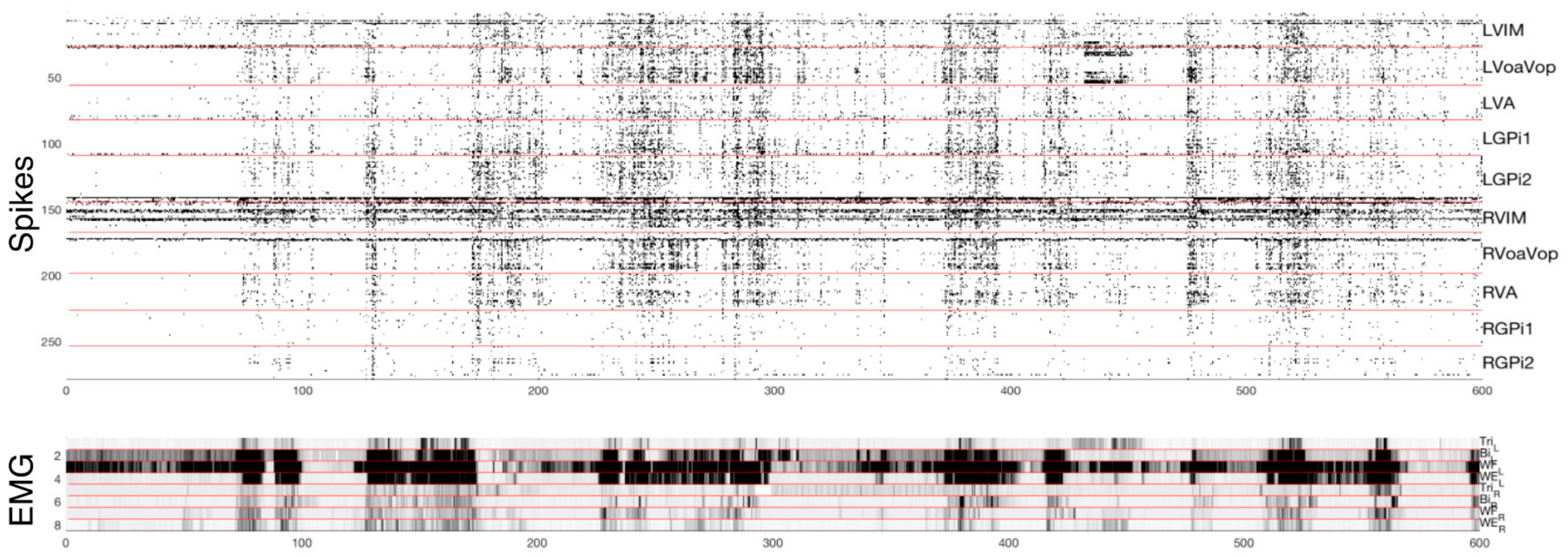 Brainsci 08 00135 g002 Brainsci 08 00135 g002
