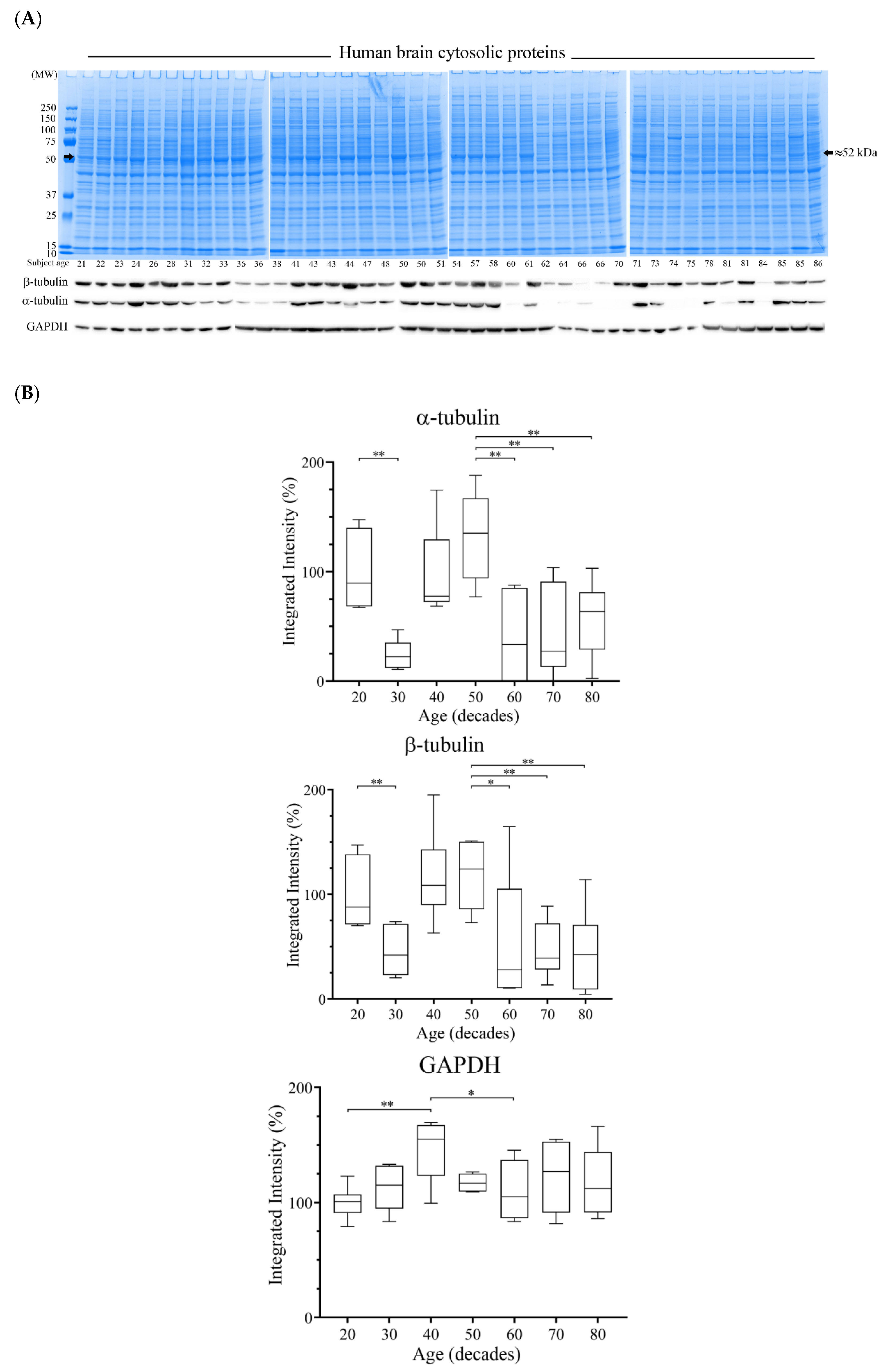 Brainsci 08 00175 g006a