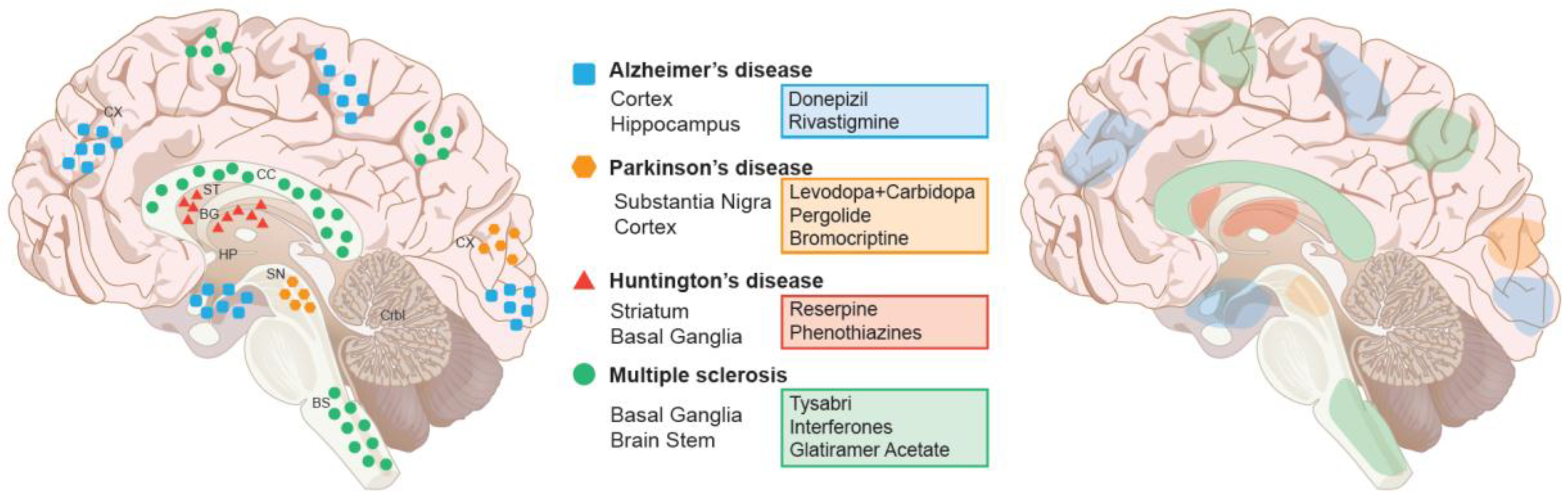 Brainsci 08 00177 g001 Brainsci 08 00177 g001