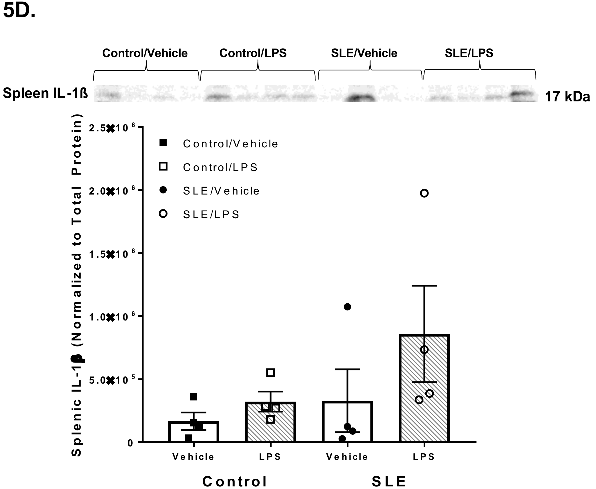 Brainsci 08 00184 g005d