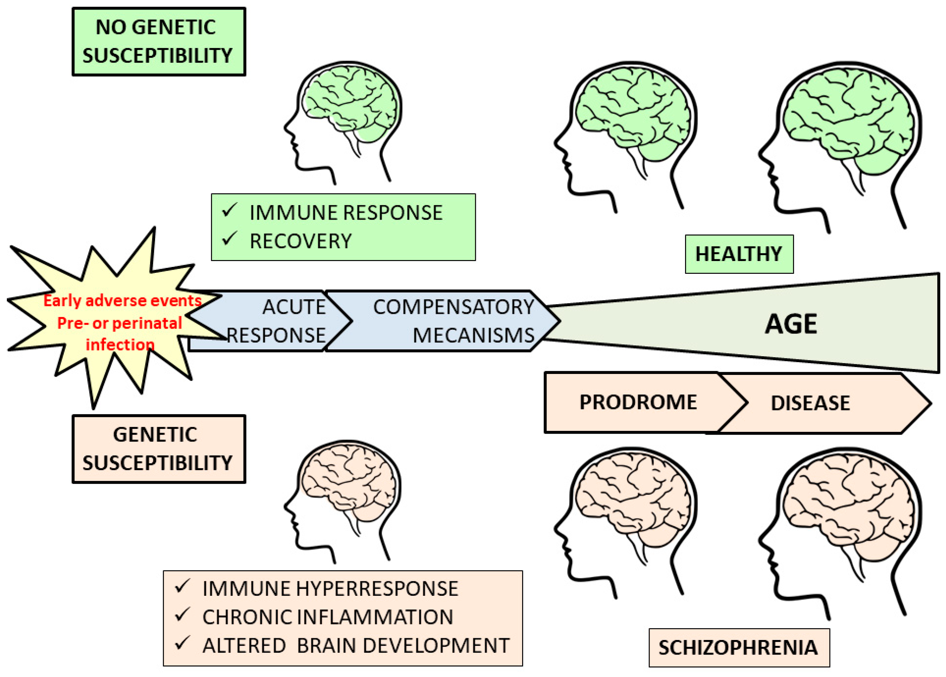 Brainsci 08 00188 g001