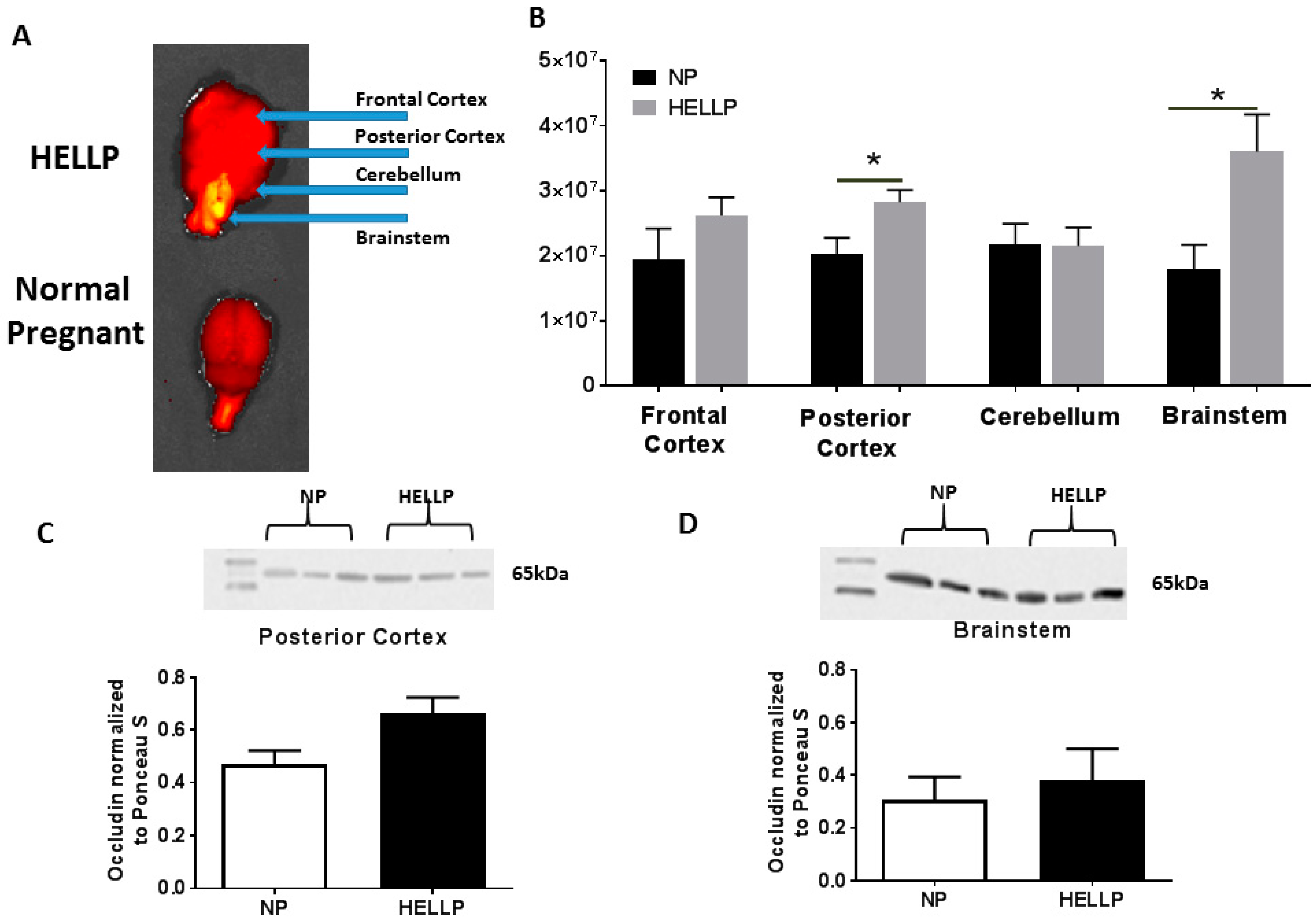 Brainsci 08 00216 g003