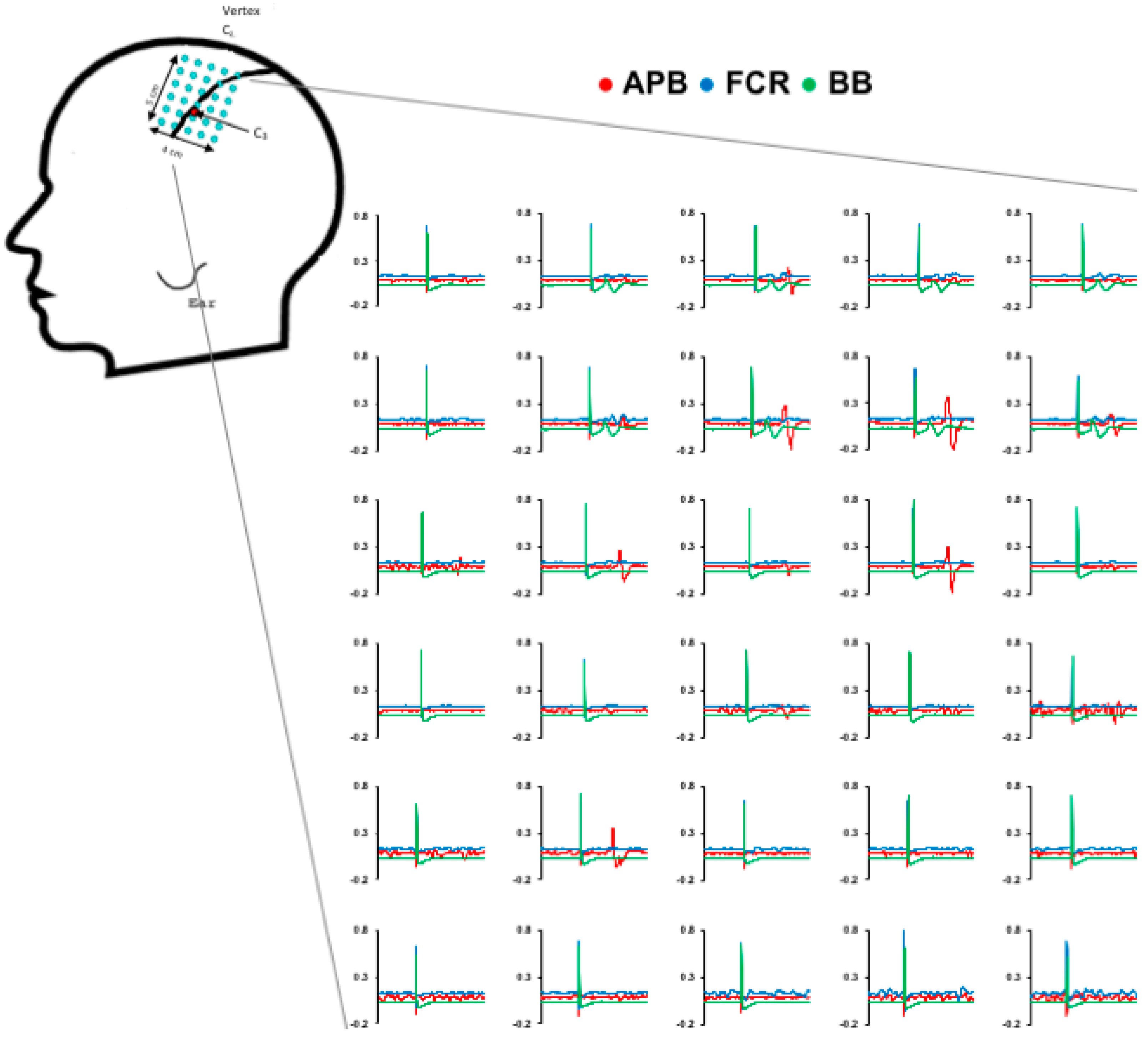 Brainsci 08 00225 g001