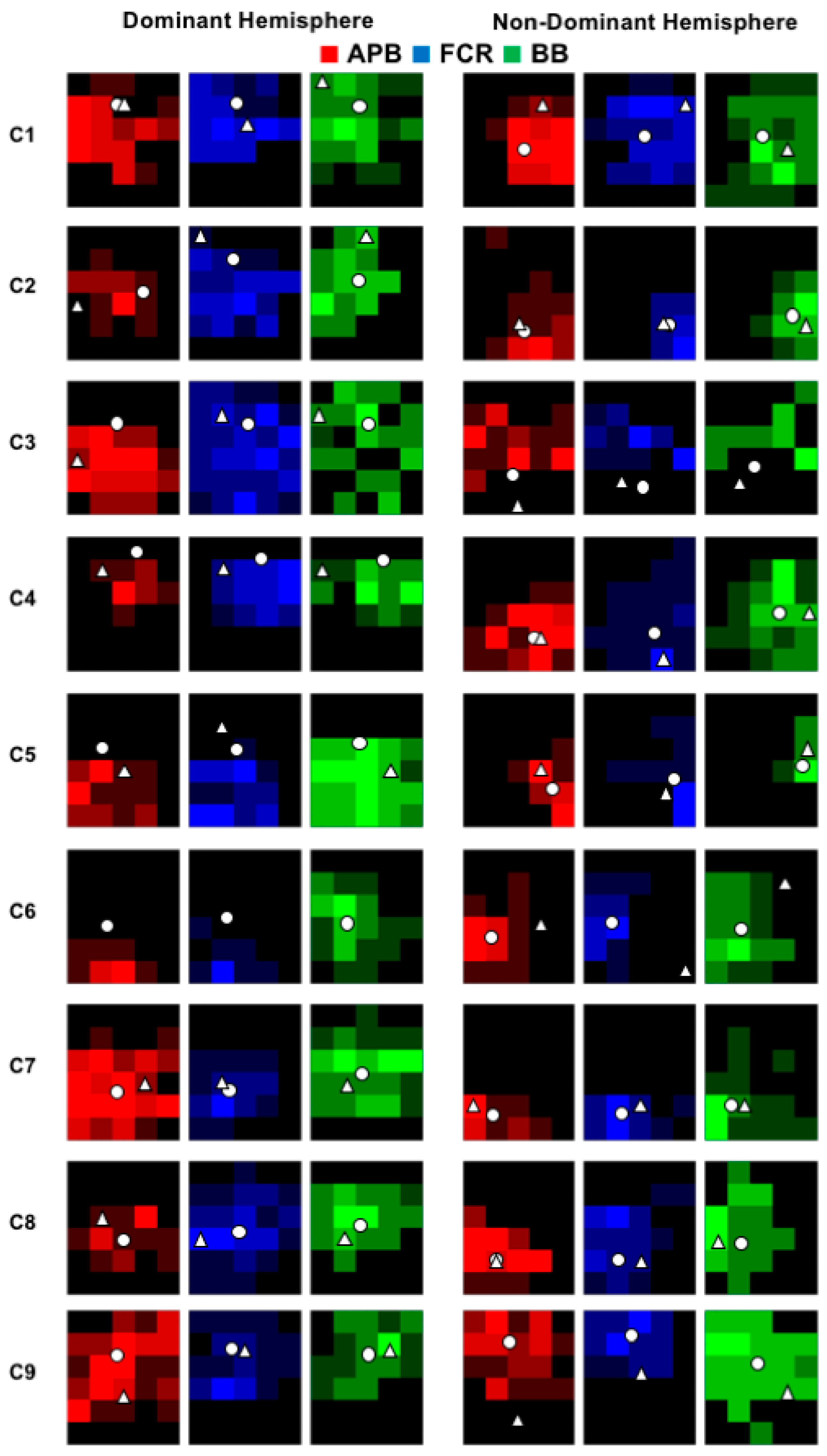 Brainsci 08 00225 g002