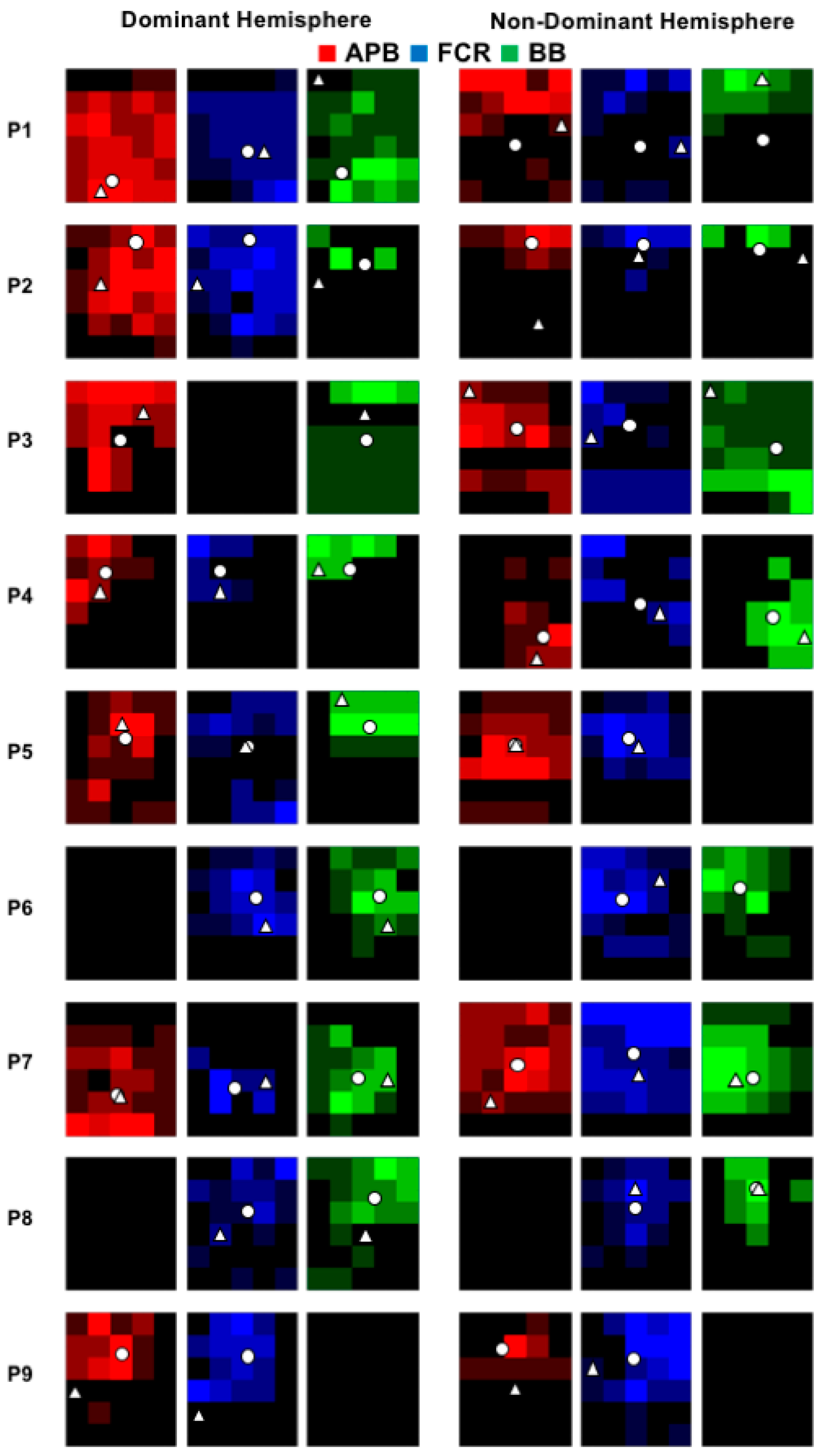 Brainsci 08 00225 g003