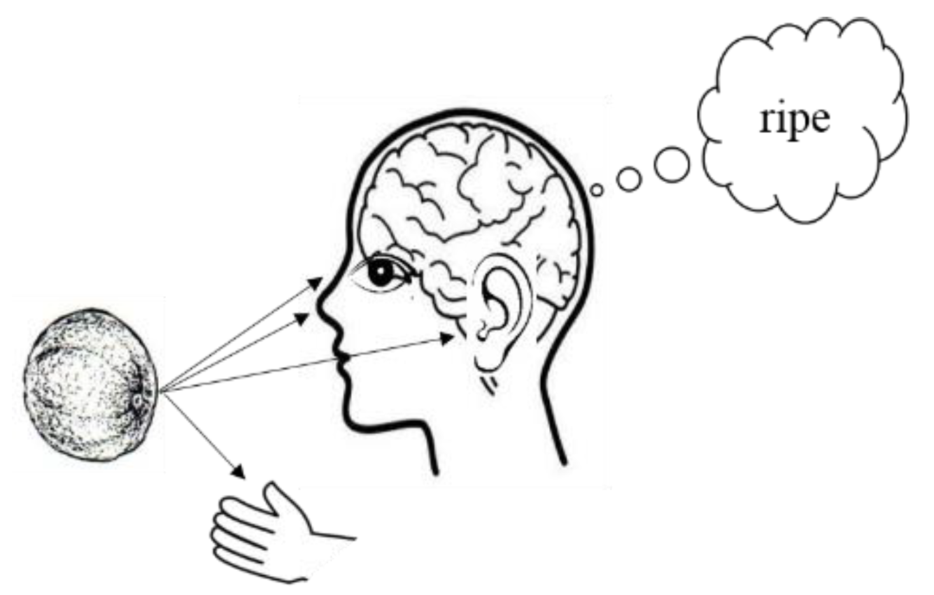 Brainsci 09 00003 g001