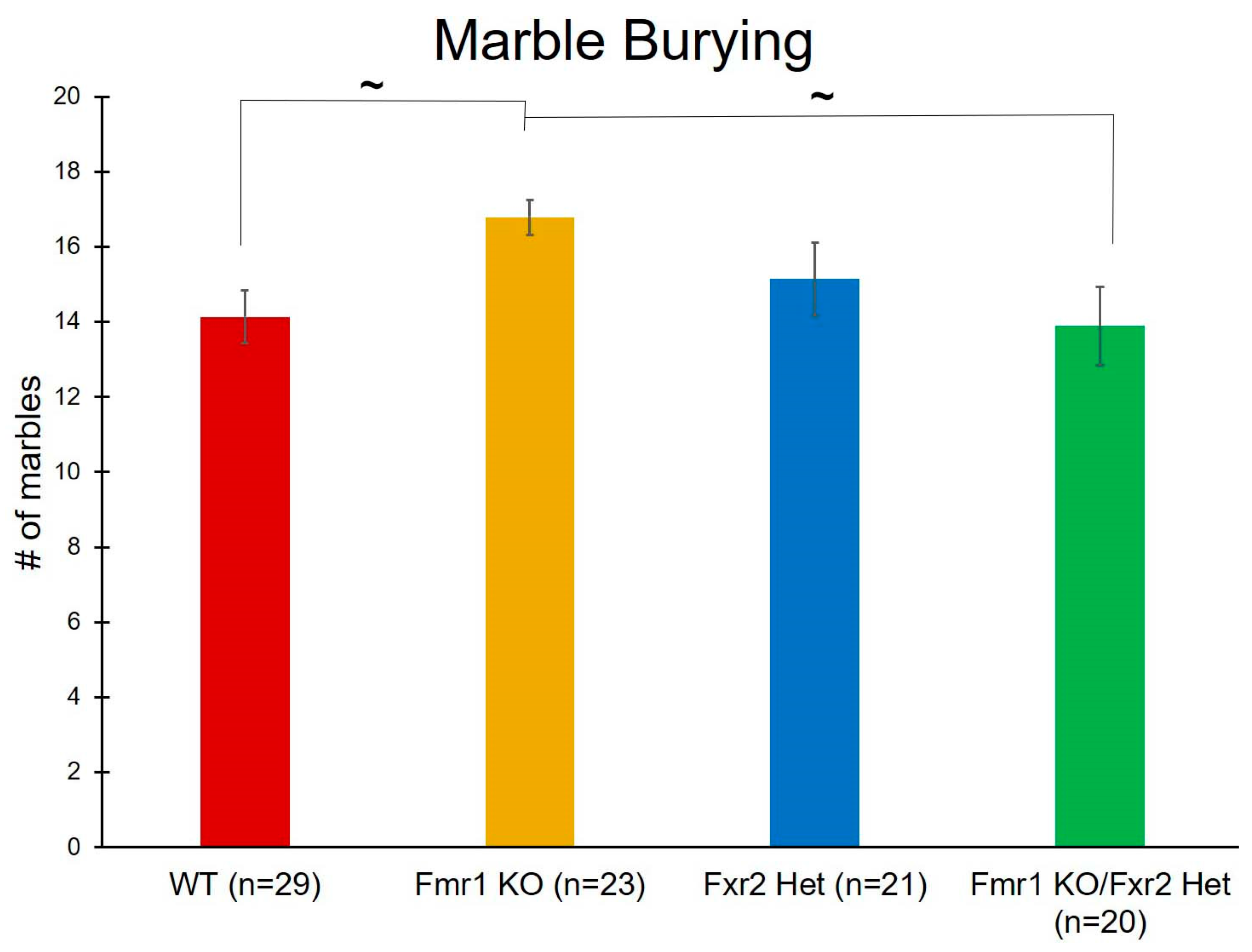 Brainsci 09 00013 g004