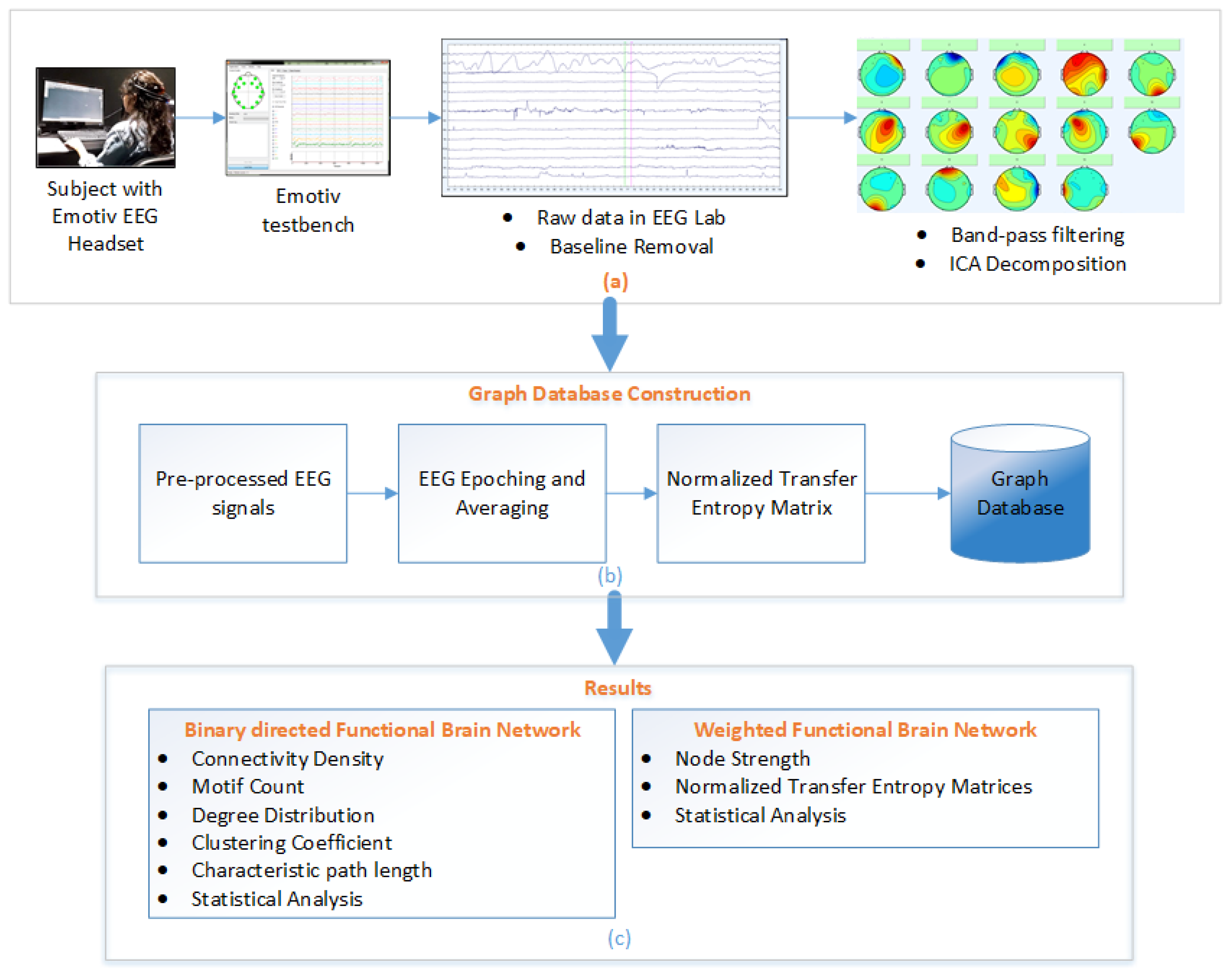 Brainsci 09 00024 g002