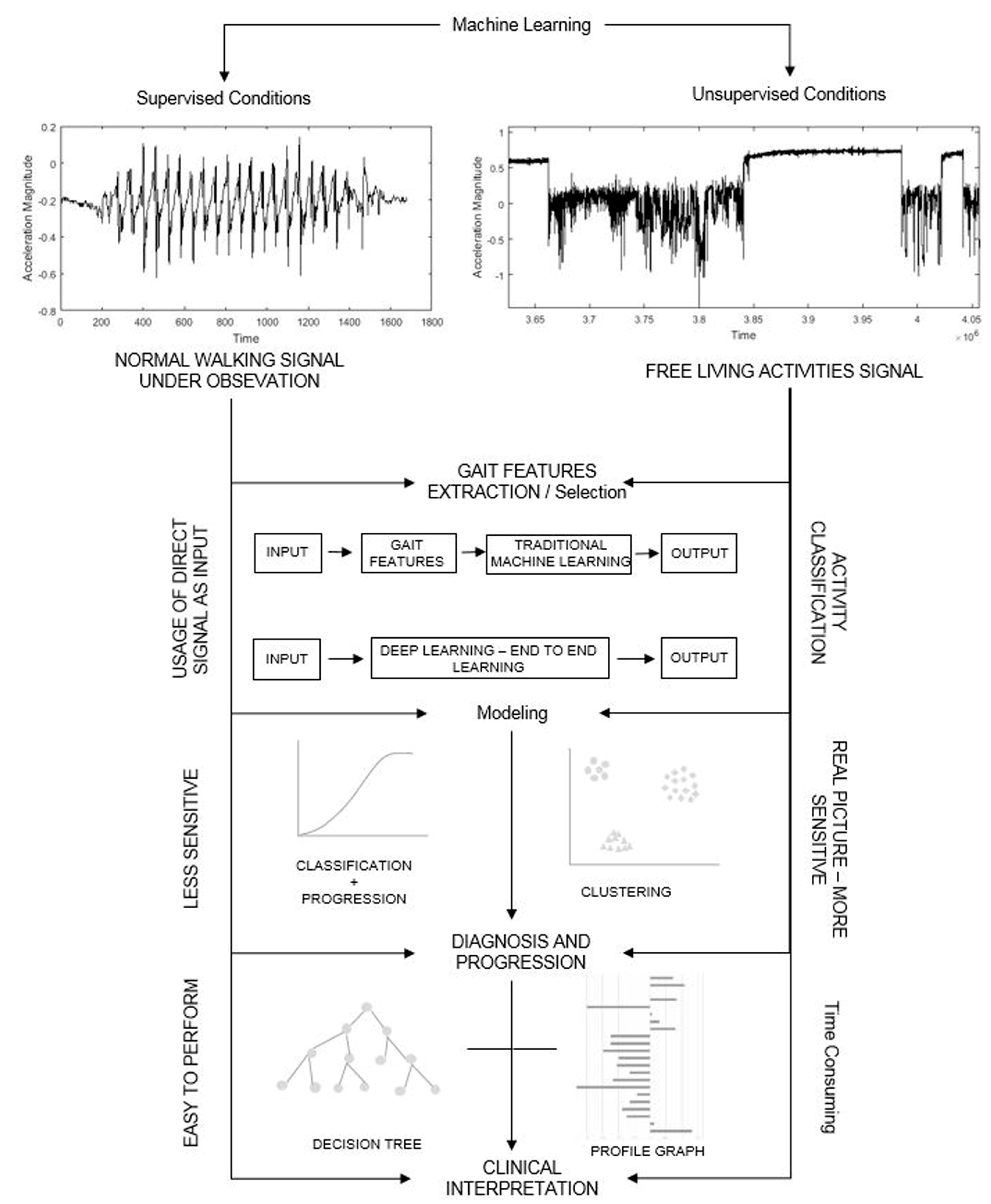 Brainsci 09 00034 g002