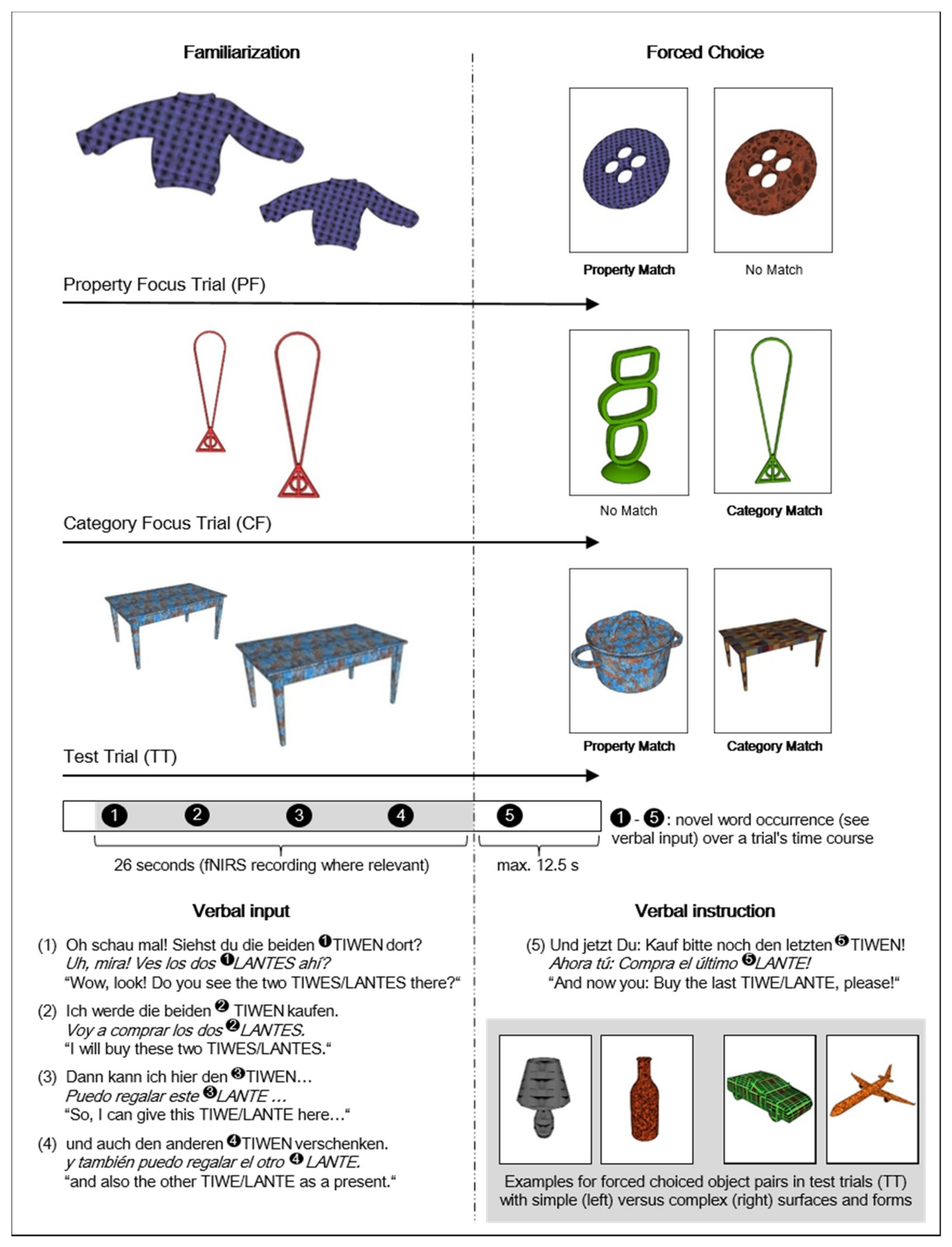 Brainsci 09 00040 g001
