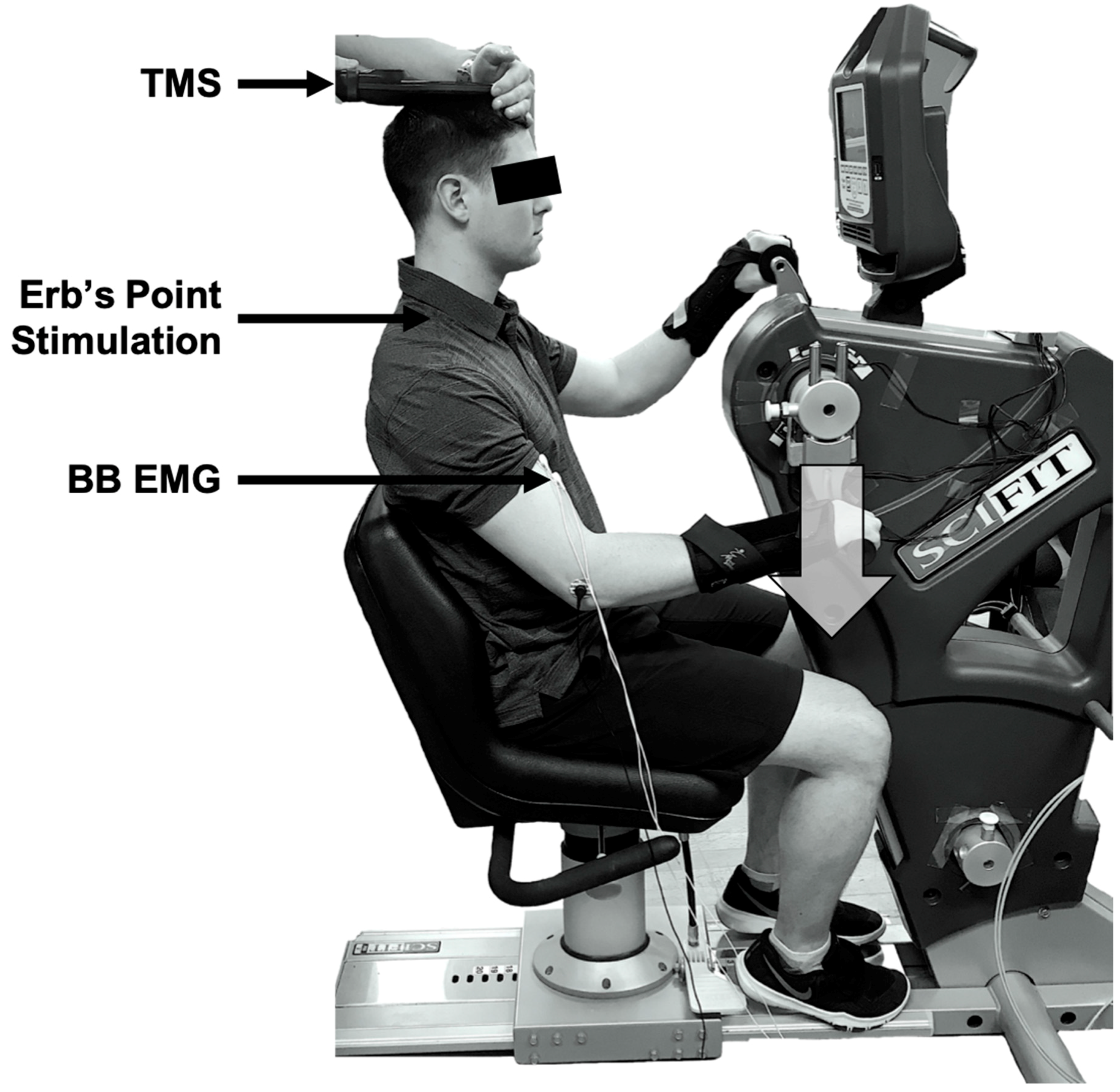 Brainsci 09 00041 g001