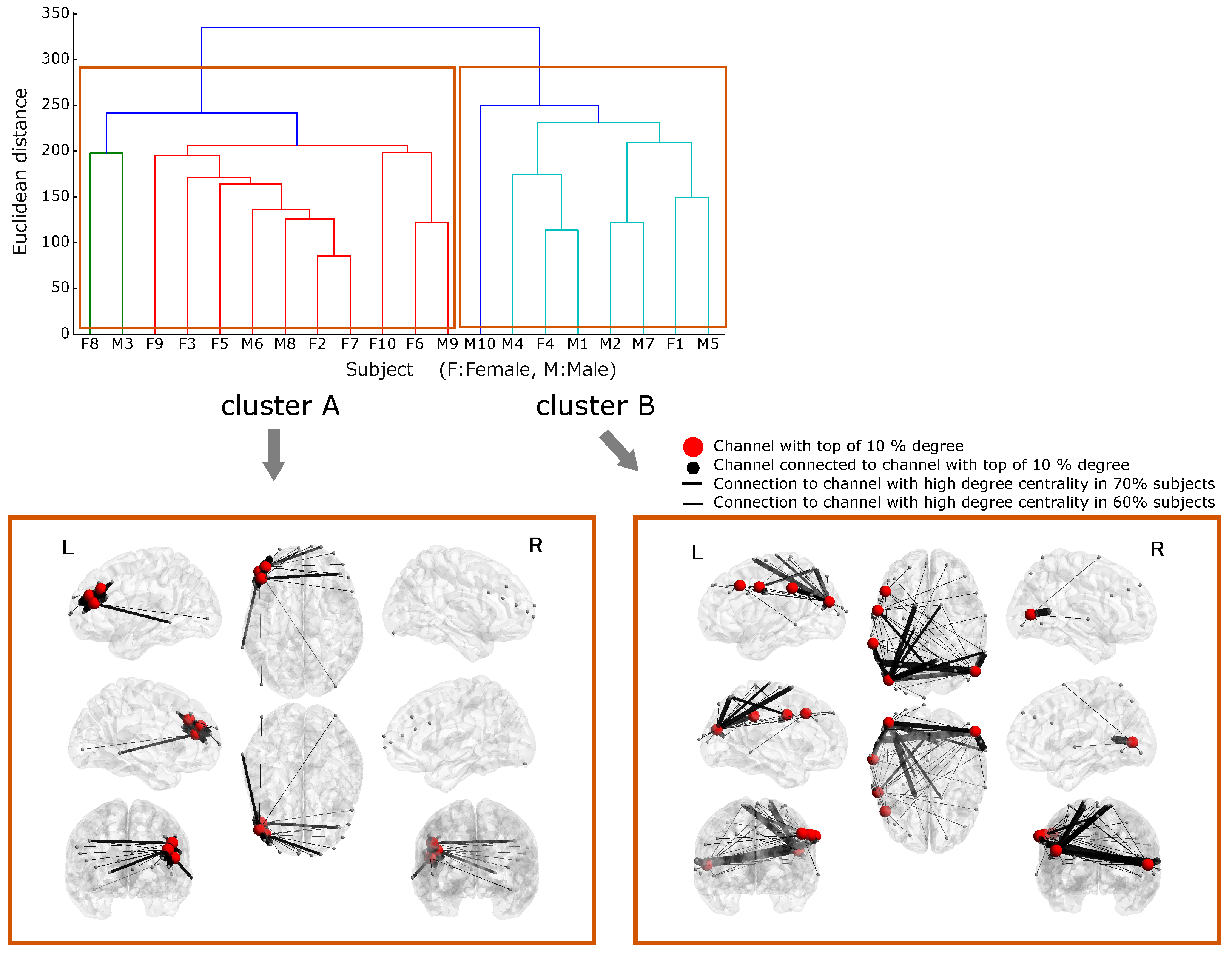 Brainsci 09 00043 g004