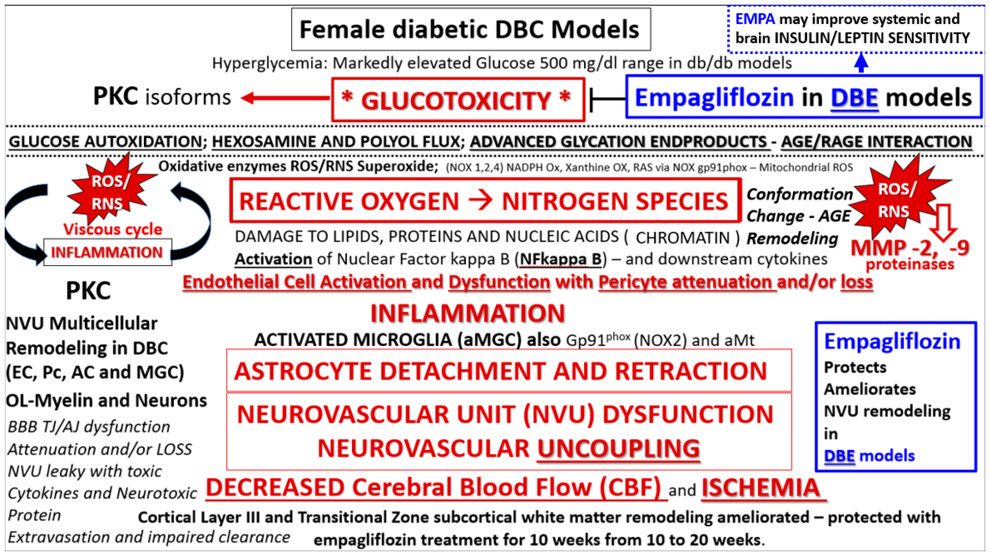 Brainsci 09 00057 g014