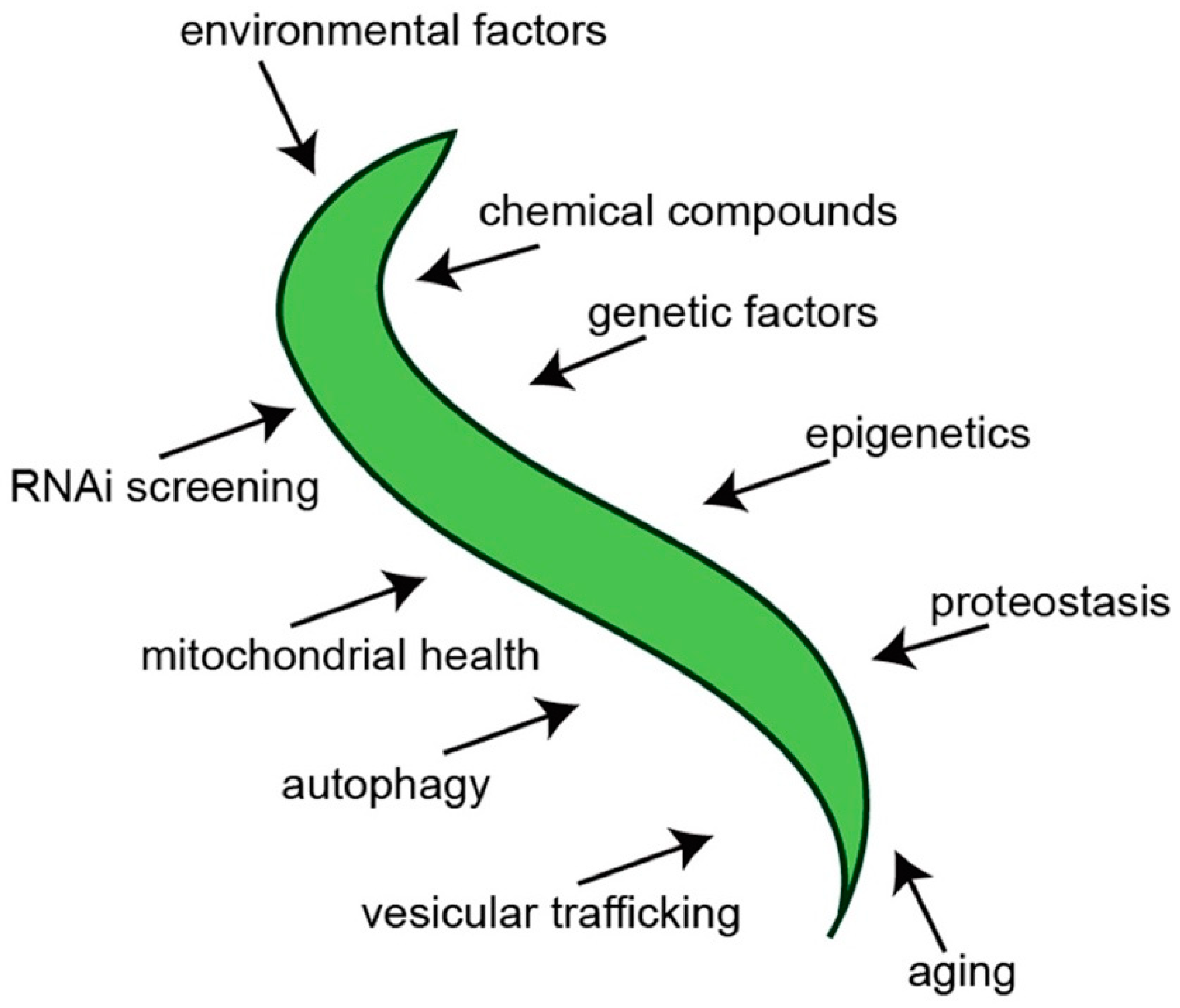 Brainsci 09 00073 g003