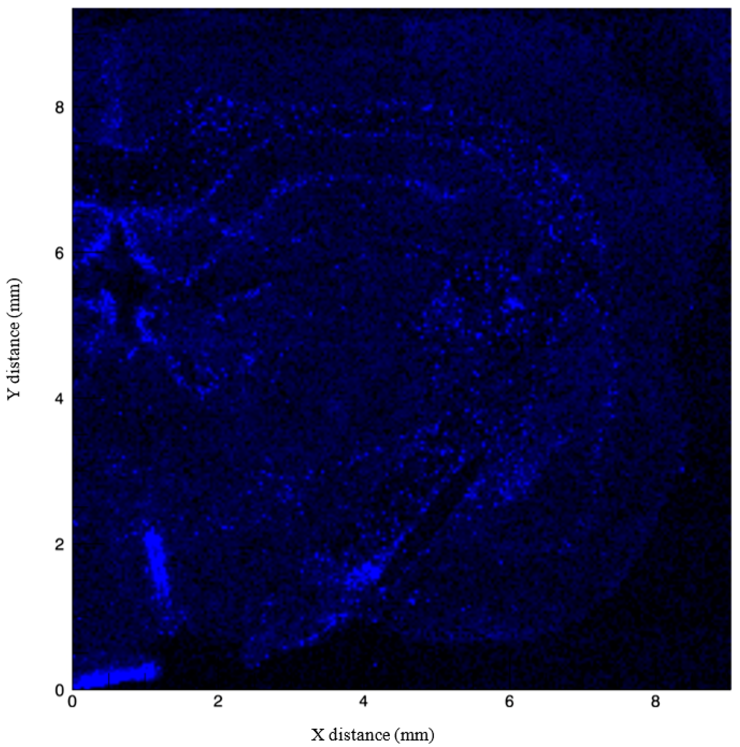 Brainsci 09 00074 g005 Brainsci 09 00074 g005