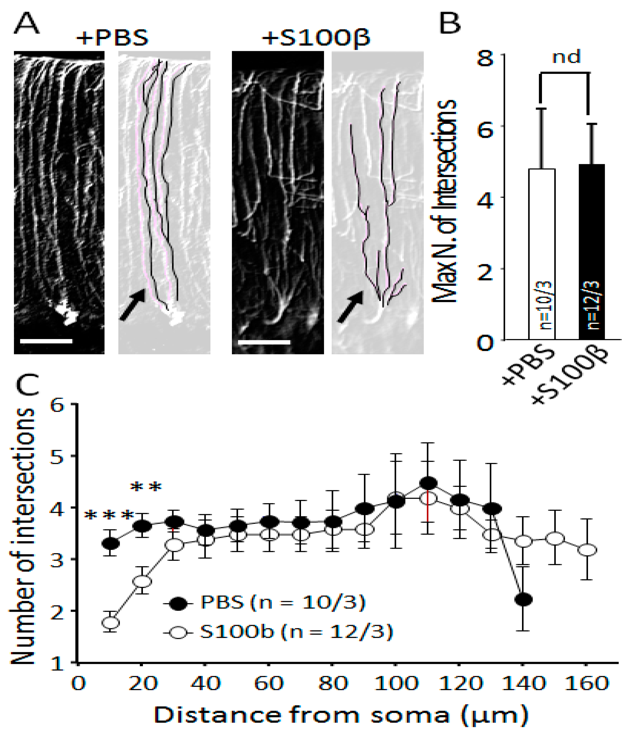 Brainsci 09 00080 g003