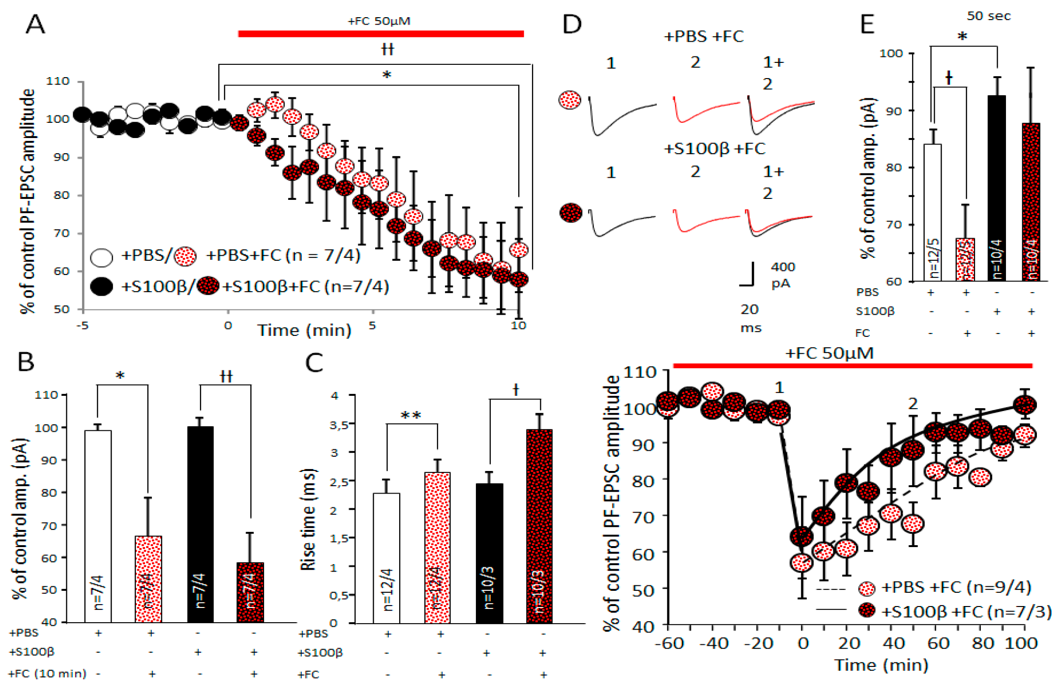 Brainsci 09 00080 g008