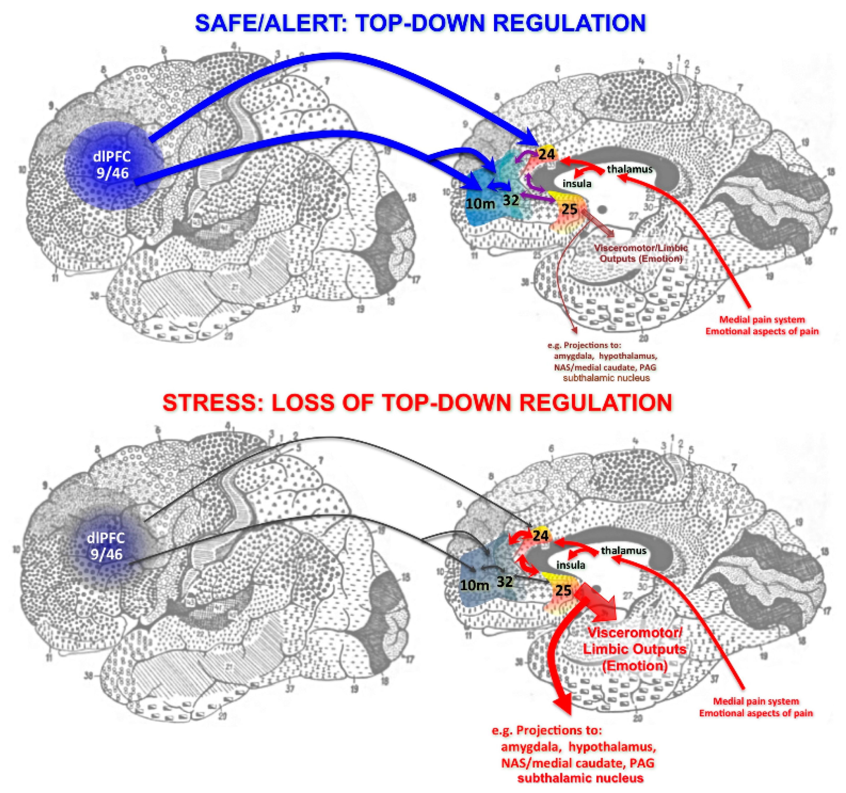 Brainsci 09 00113 g001