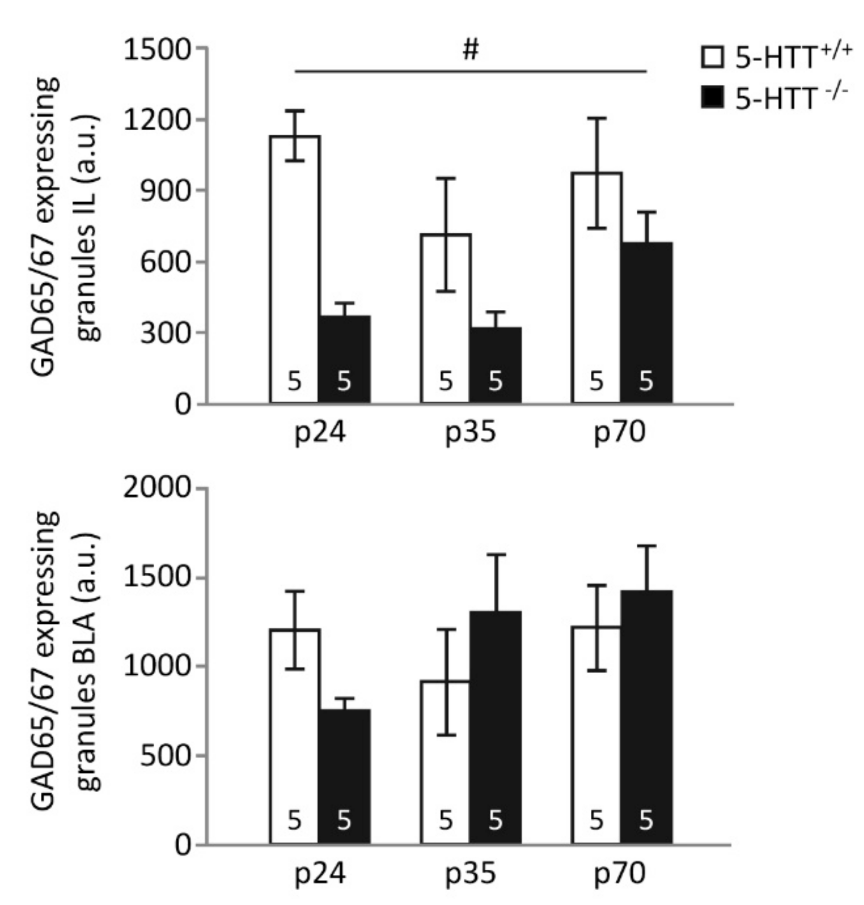 Brainsci 09 00118 g002 Brainsci 09 00118 g002