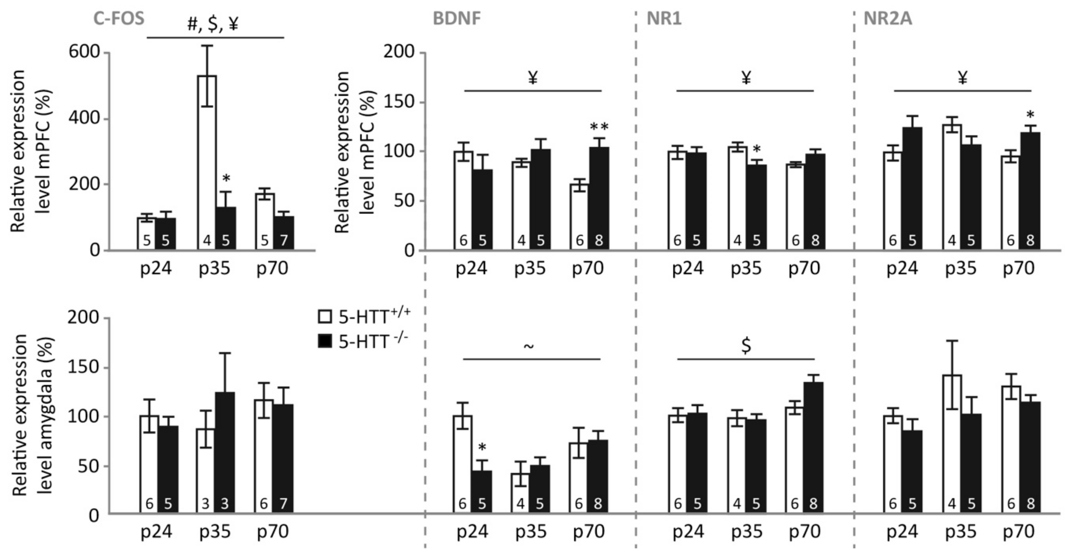 Brainsci 09 00118 g005 Brainsci 09 00118 g005