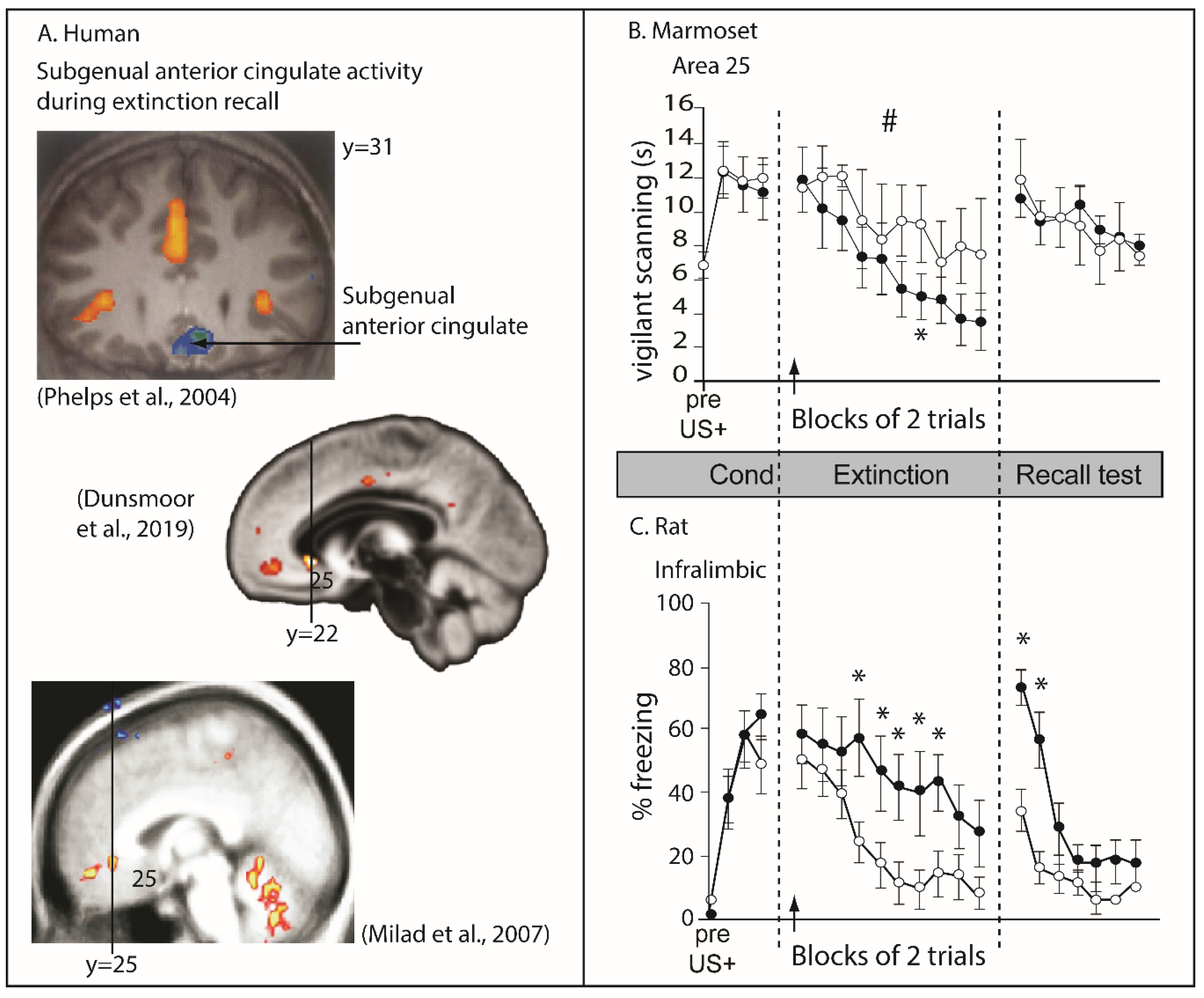 Brainsci 09 00129 g004