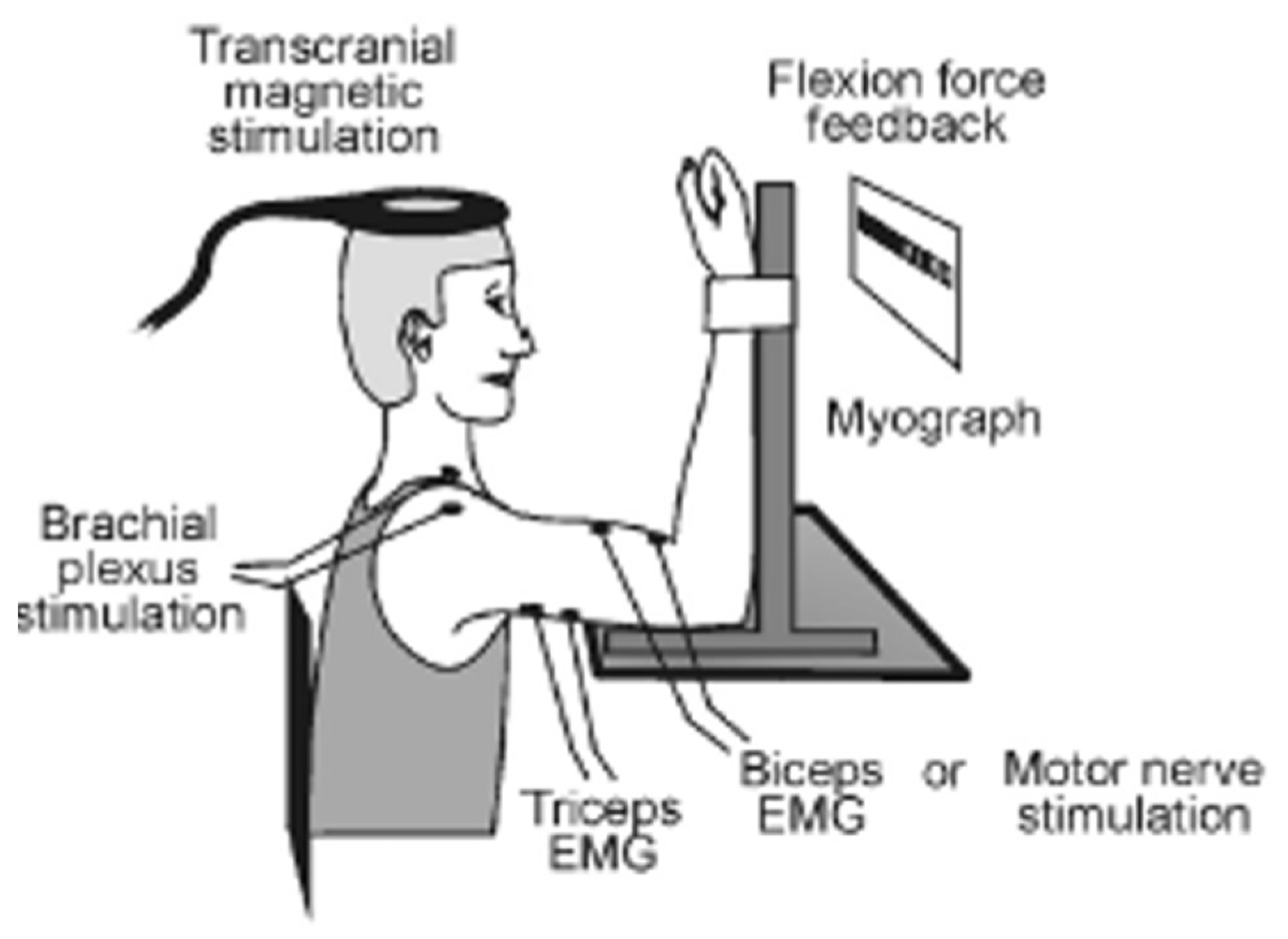 Brainsci 09 00136 g001