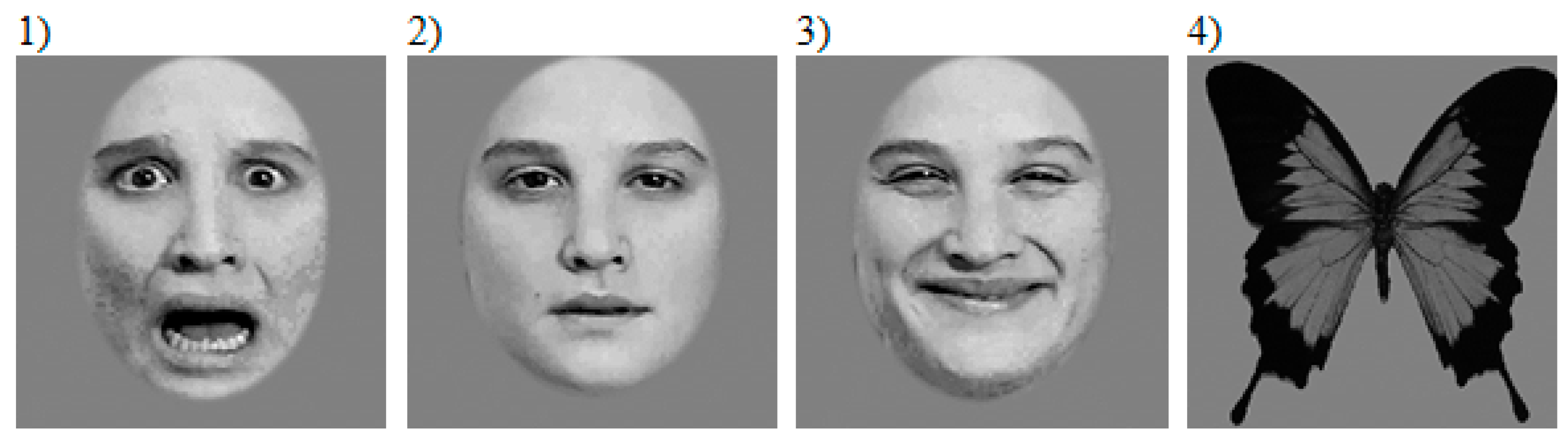 Brainsci 09 00142 g001