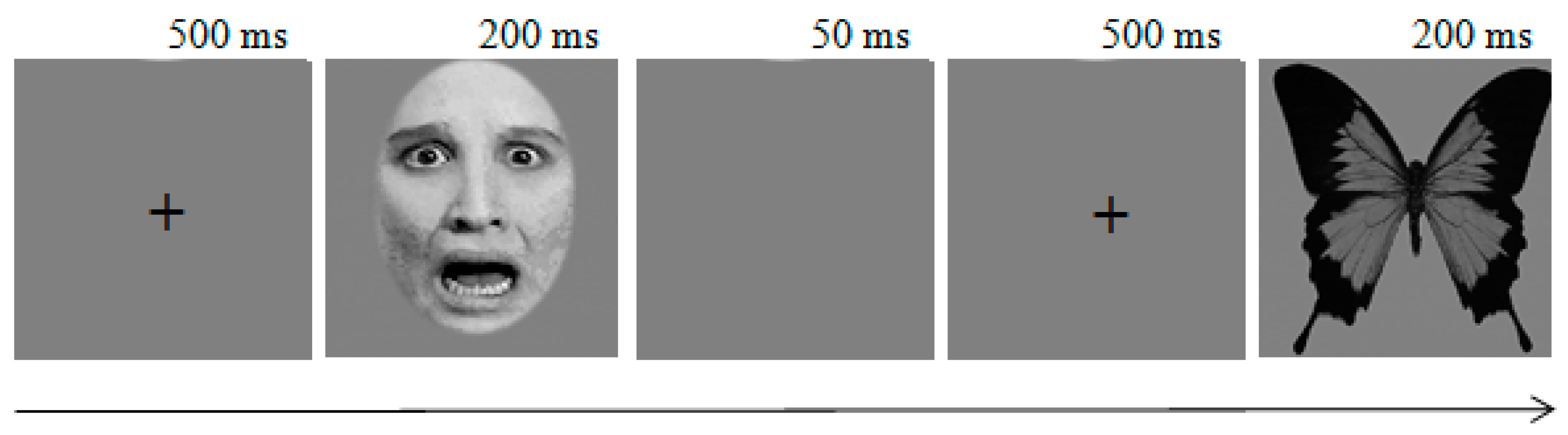 Brainsci 09 00142 g002