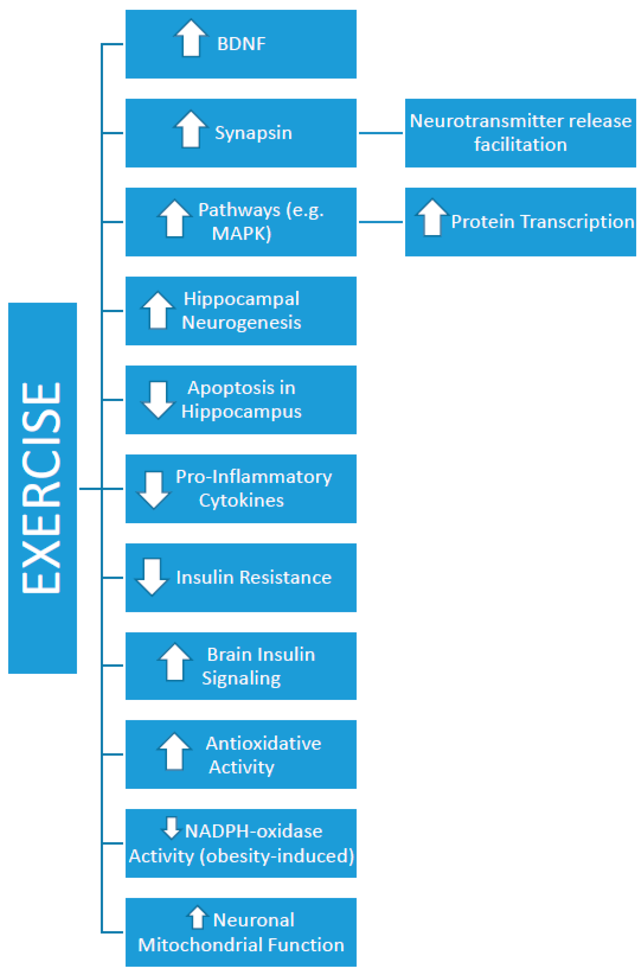 Brainsci 09 00145 g001 Brainsci 09 00145 g001