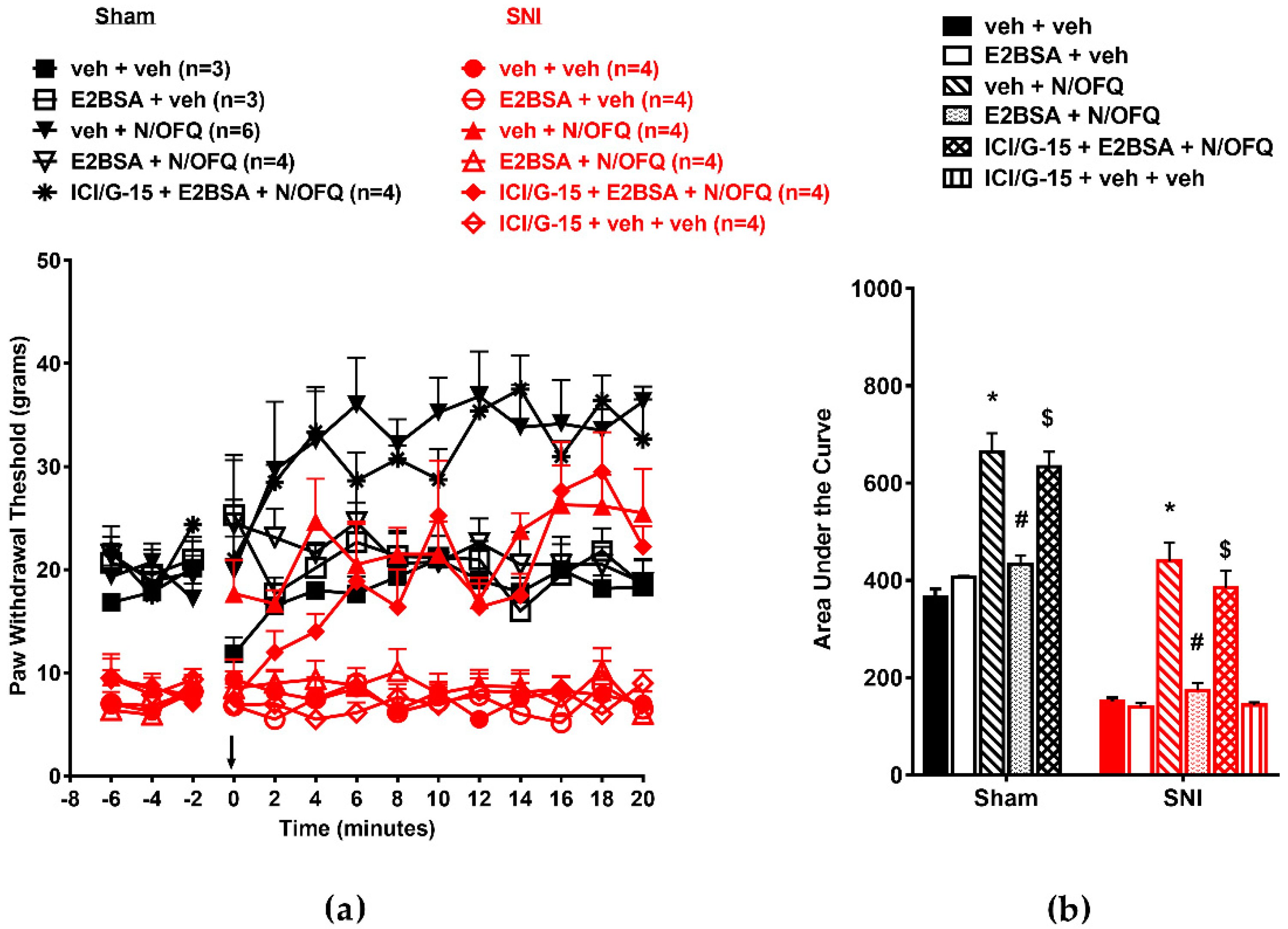 Brainsci 09 00147 g001 Brainsci 09 00147 g001